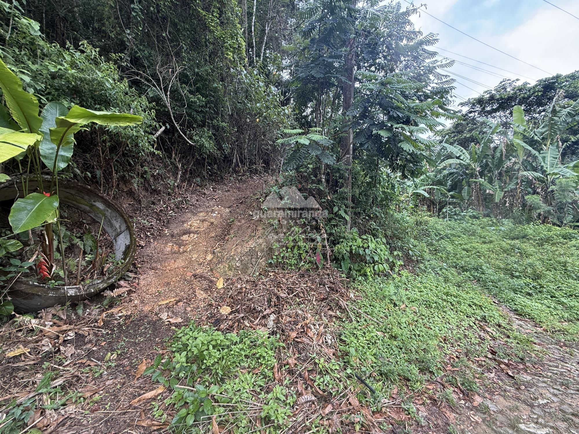 Sítio, 2 quartos, 26 hectares - Foto 5