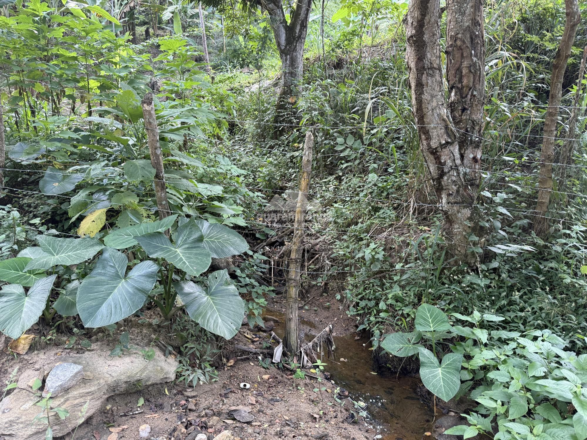 Terreno, 36 m² - Foto 37