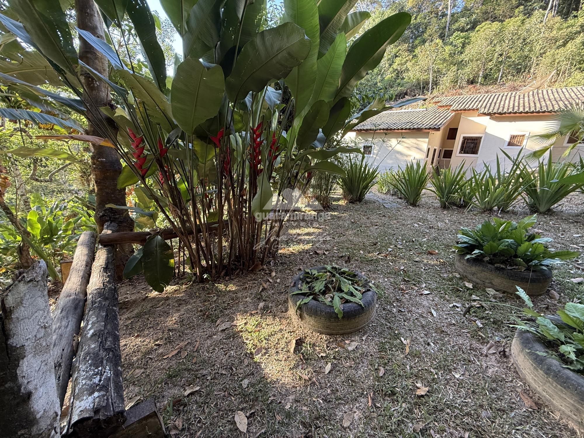 Chácara, 8 quartos, 2 hectares - Foto 26