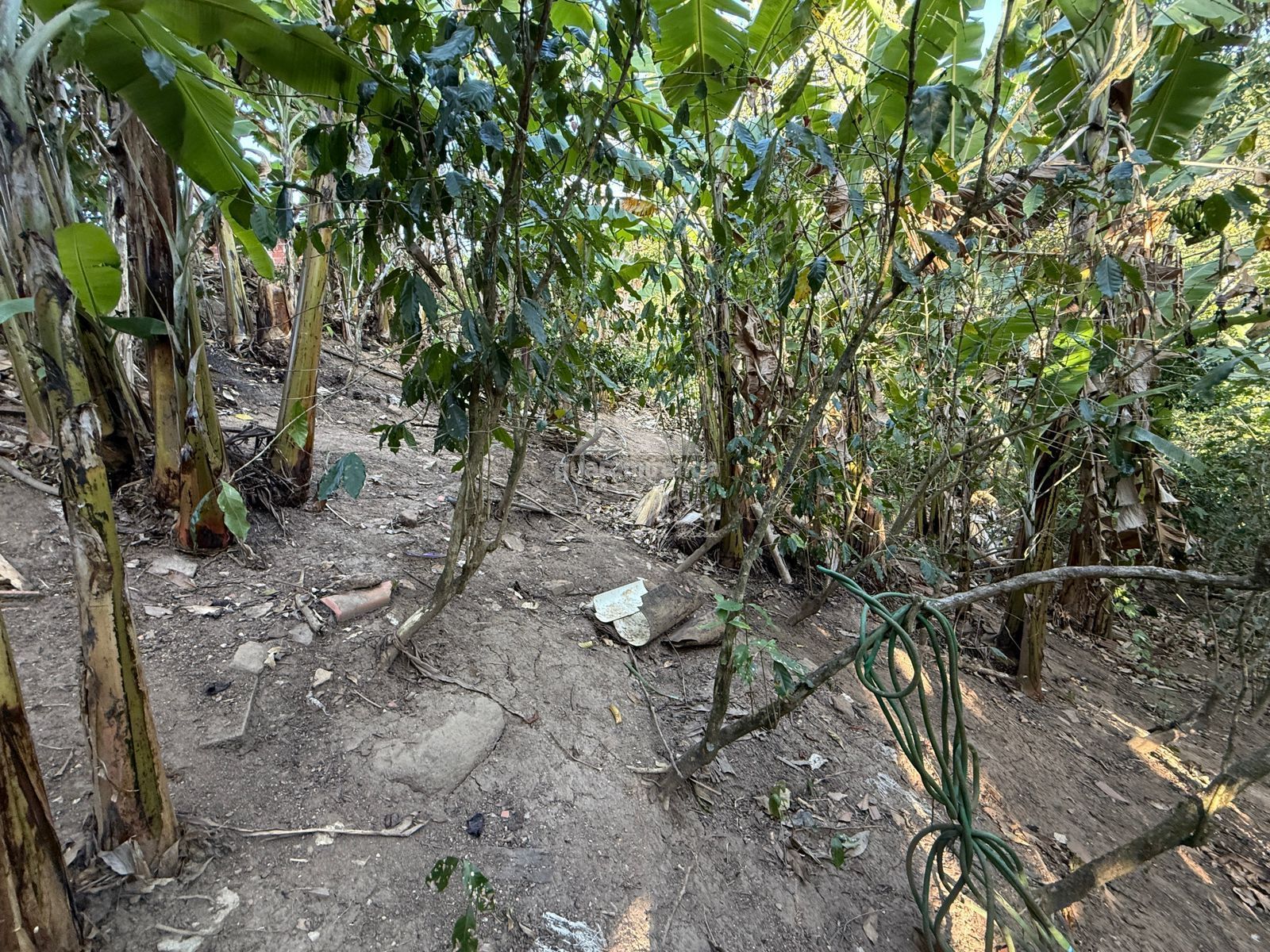 Chácara, 4 quartos, 2222 m² - Foto 13