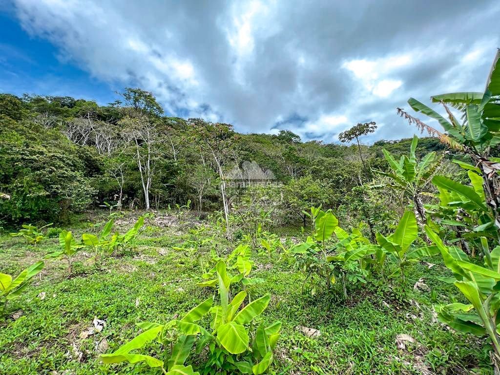 Sítio, 1 quarto, 52 hectares - Foto 13