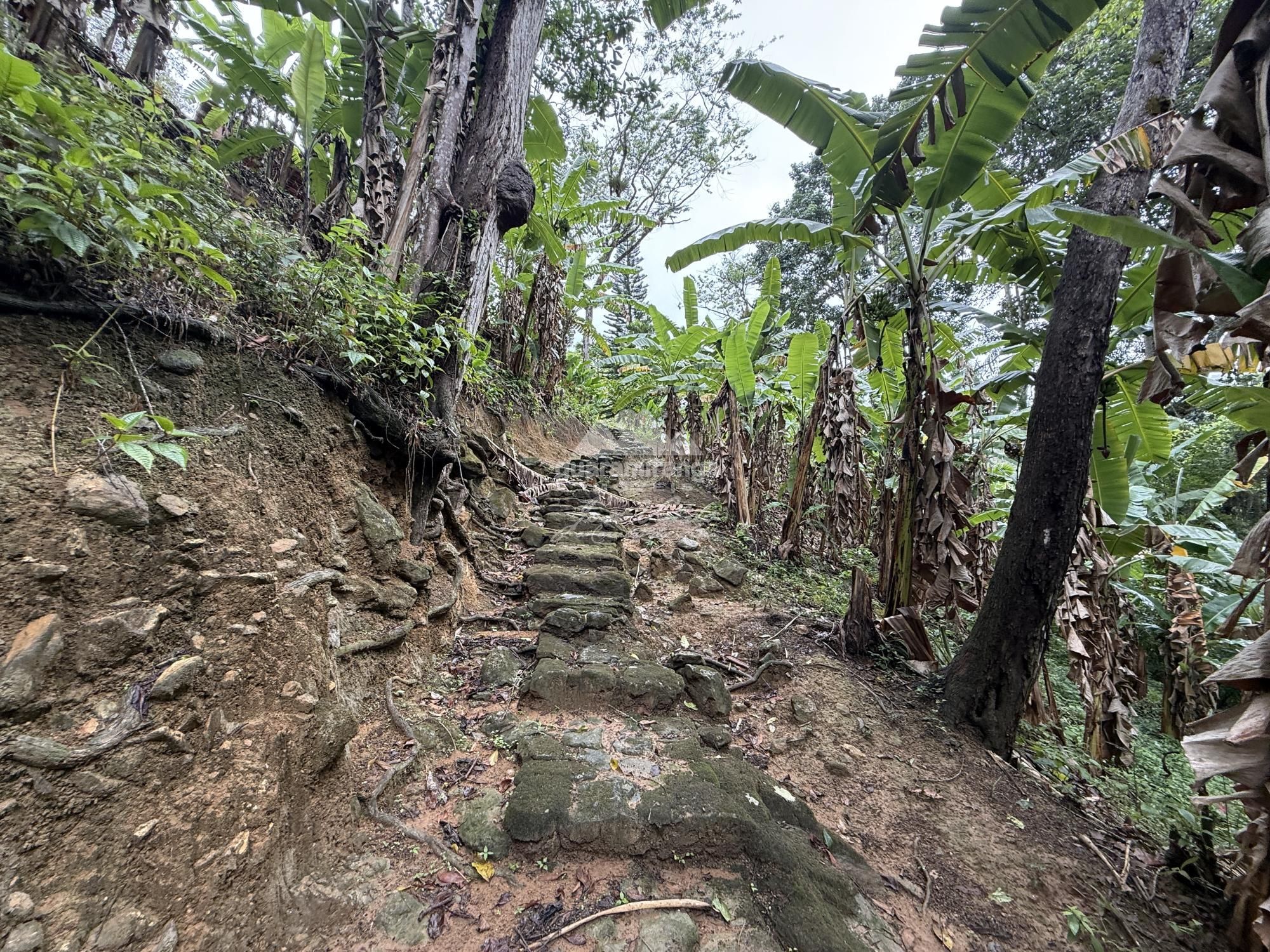 Fazenda/sítio/chácara/haras com 5 Dormitórios à venda, 322 m² por R$ 1.700.000,00 Fazenda/sítio/chácara/haras com 5 Dormitórios à venda, 322 m² por R$ 1.700.000,00