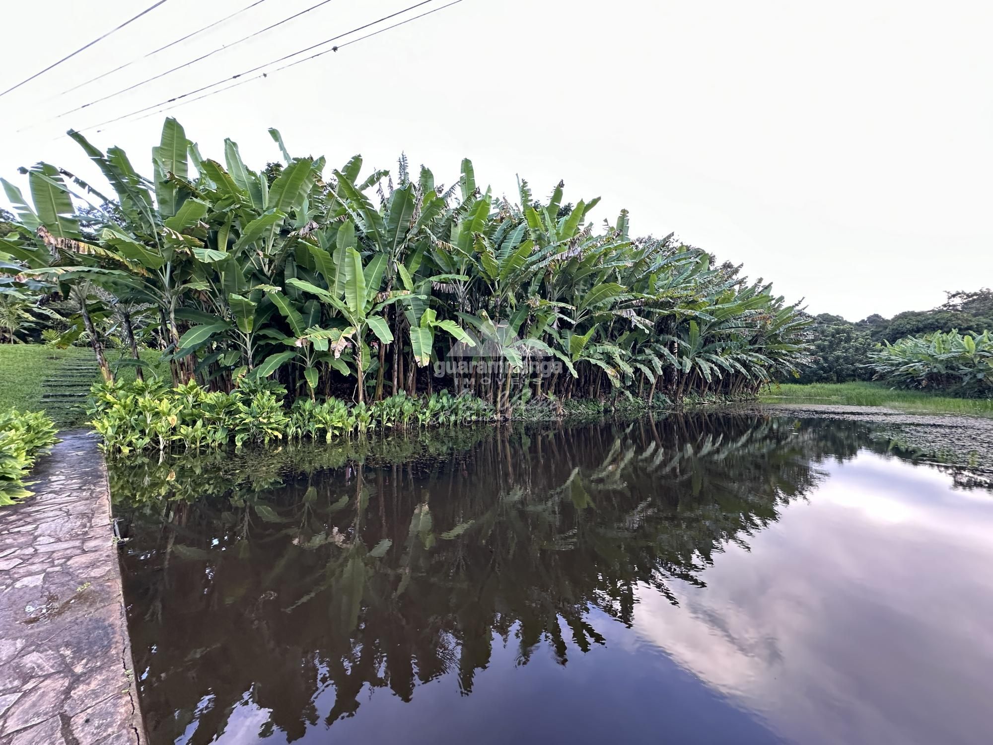 Sítio à venda com 6 quartos, 30000m² - Foto 106