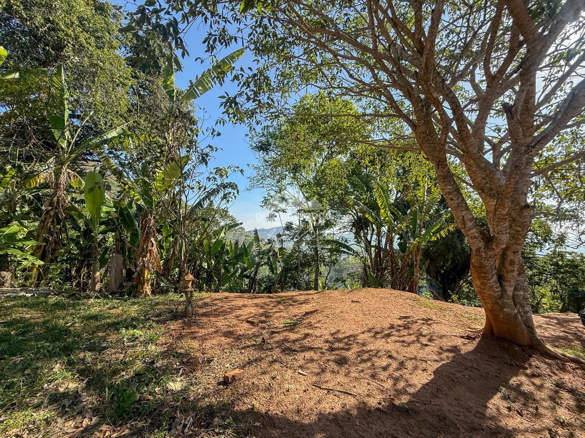 Chácara, 3 quartos, 5 hectares - Foto 11
