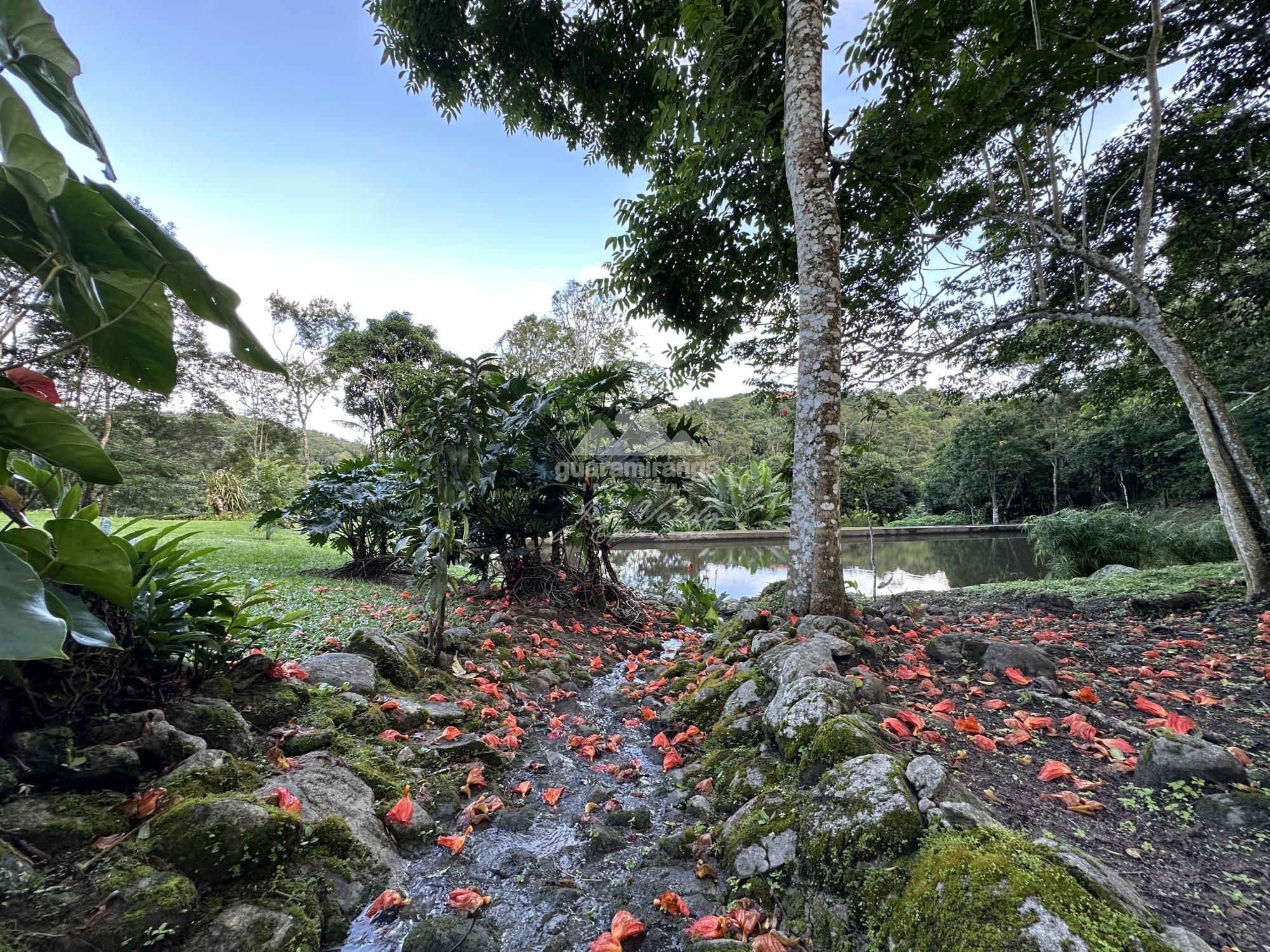 Sítio à venda com 6 quartos, 30000m² - Foto 90