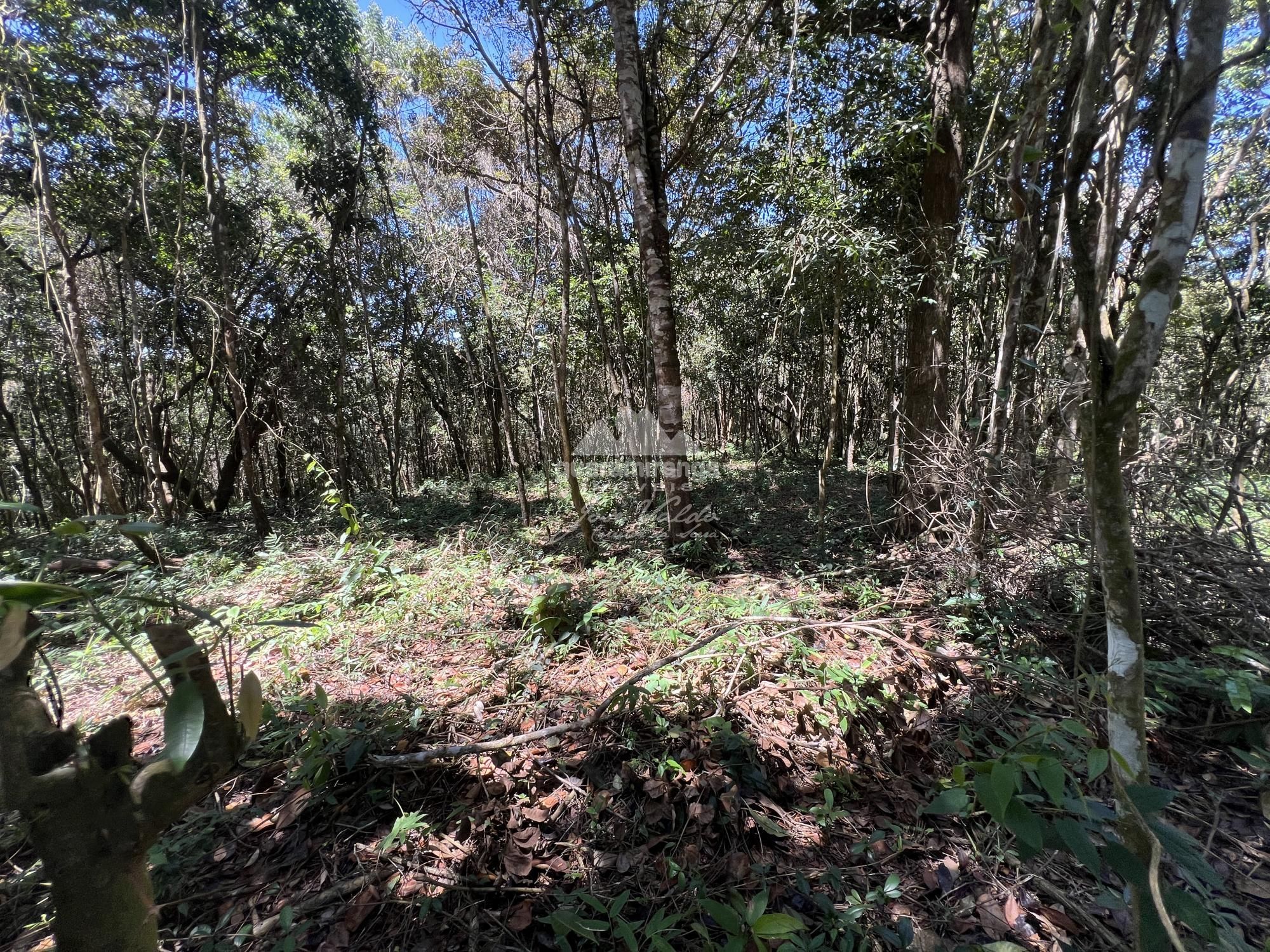 Terreno à venda, 1200m² - Foto 8