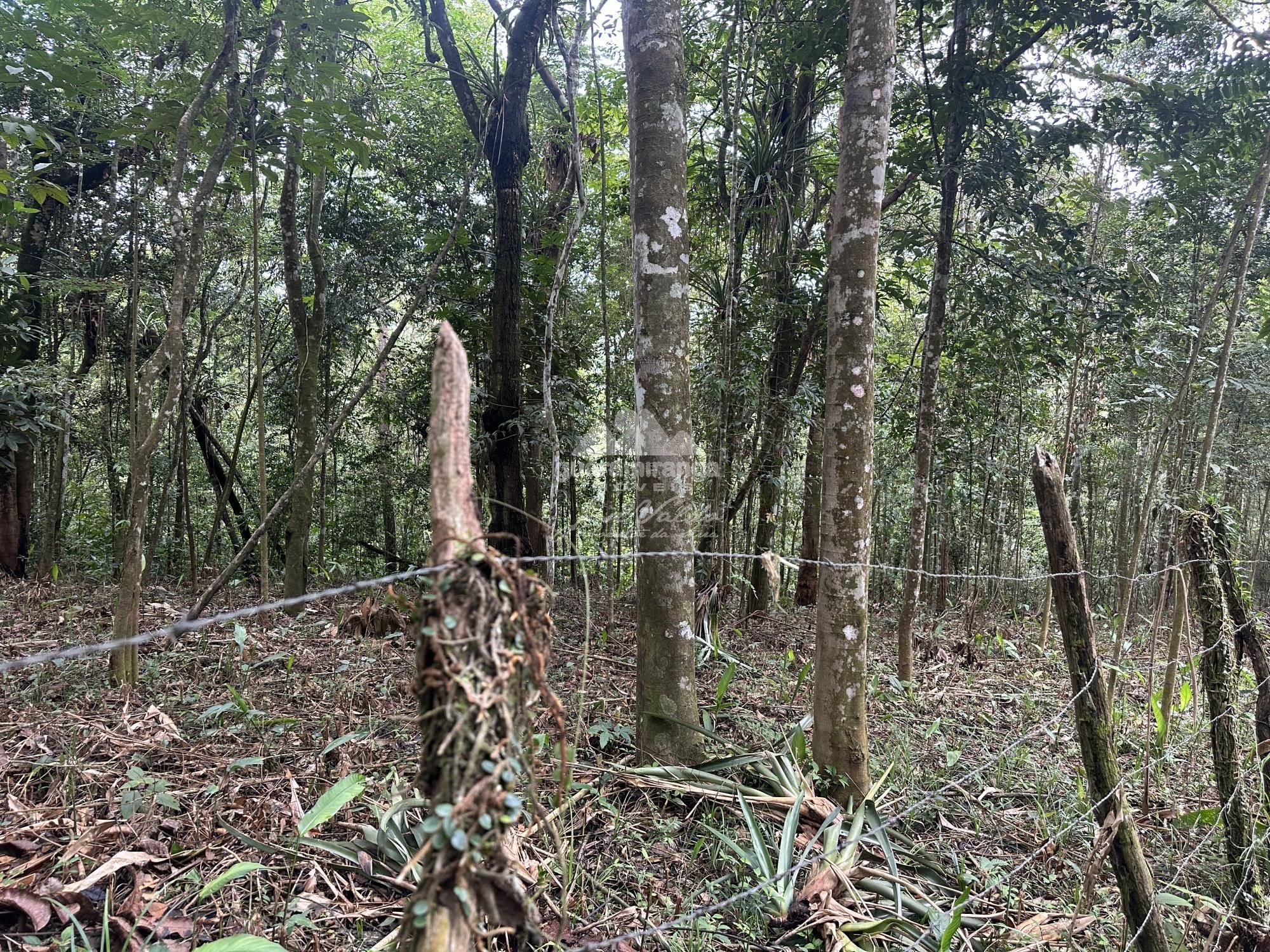 Terreno, 7595 m² - Foto 22