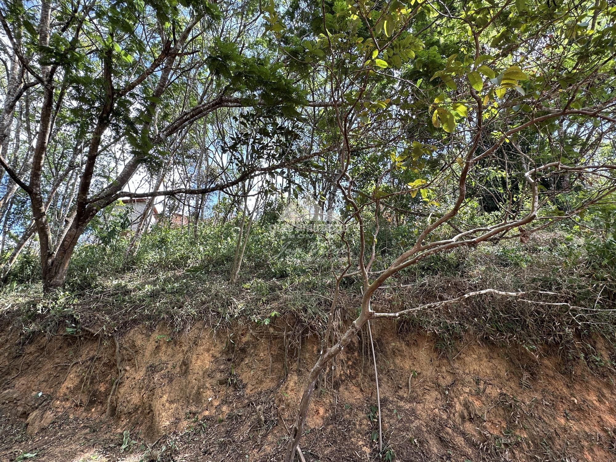 Chácara à venda com 3 quartos, 135m² - Foto 22