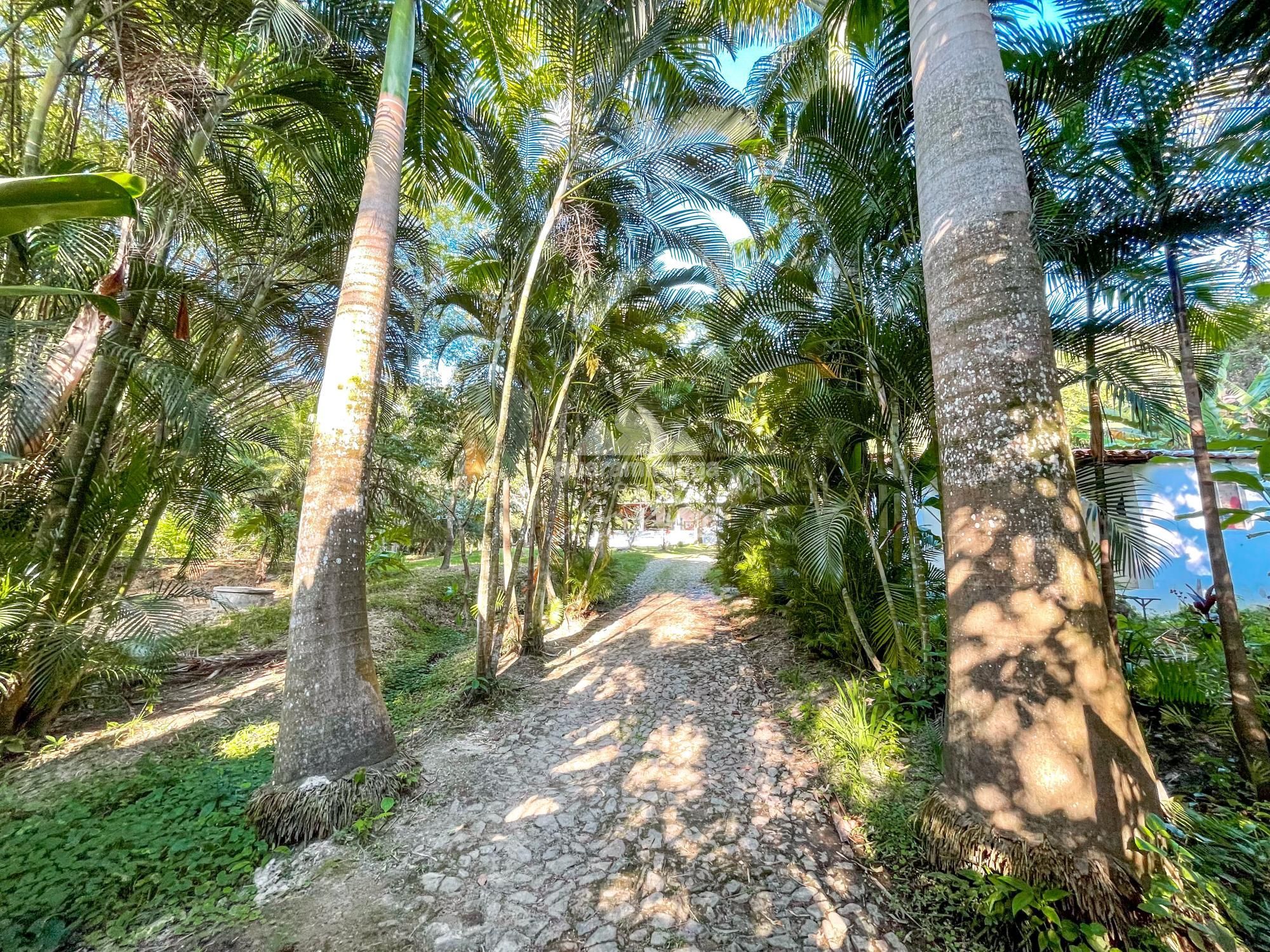 Sítio, 8 quartos, 7 hectares - Foto 11