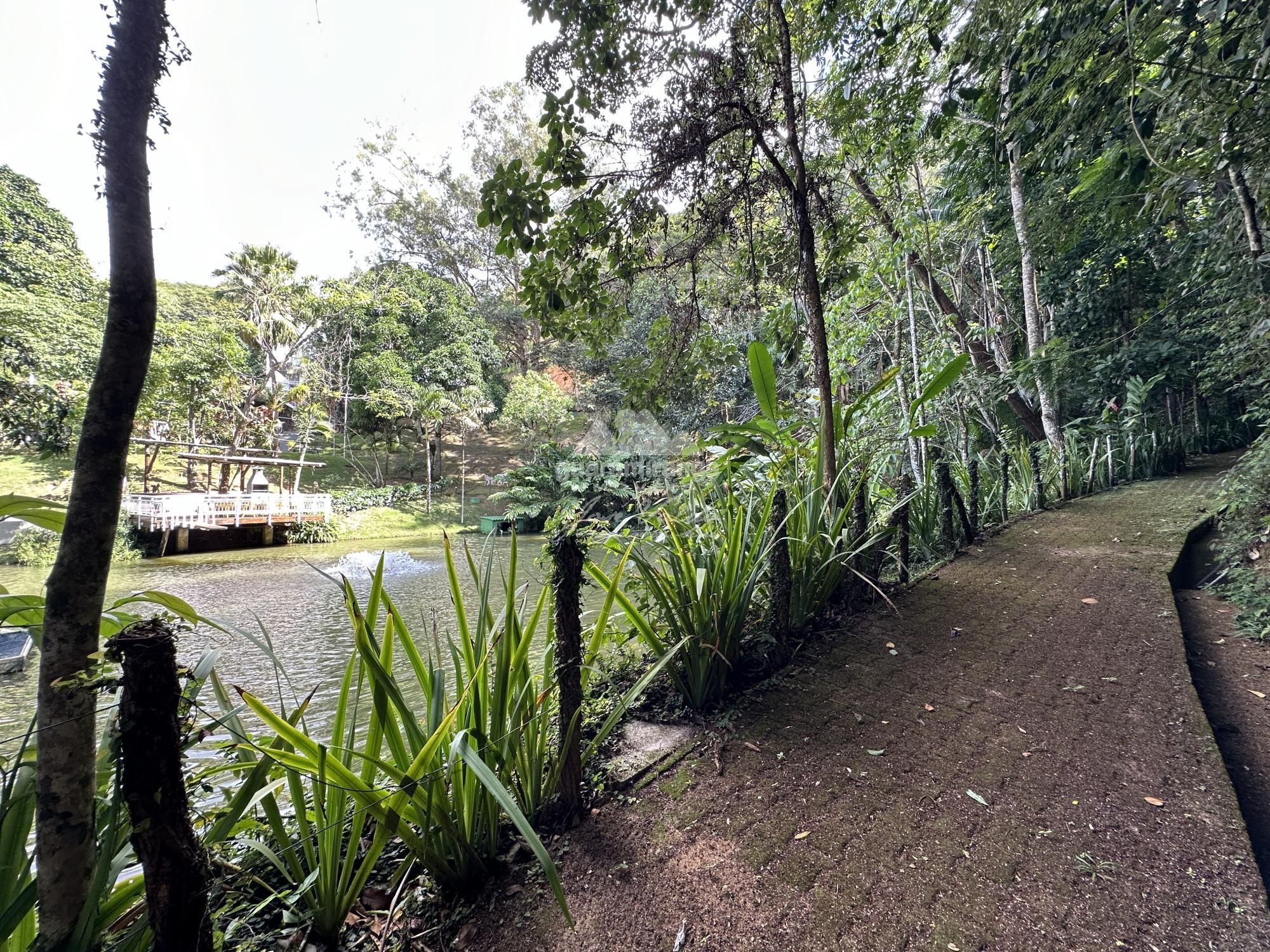 Sítio à venda com 5 quartos, 462m² - Foto 23