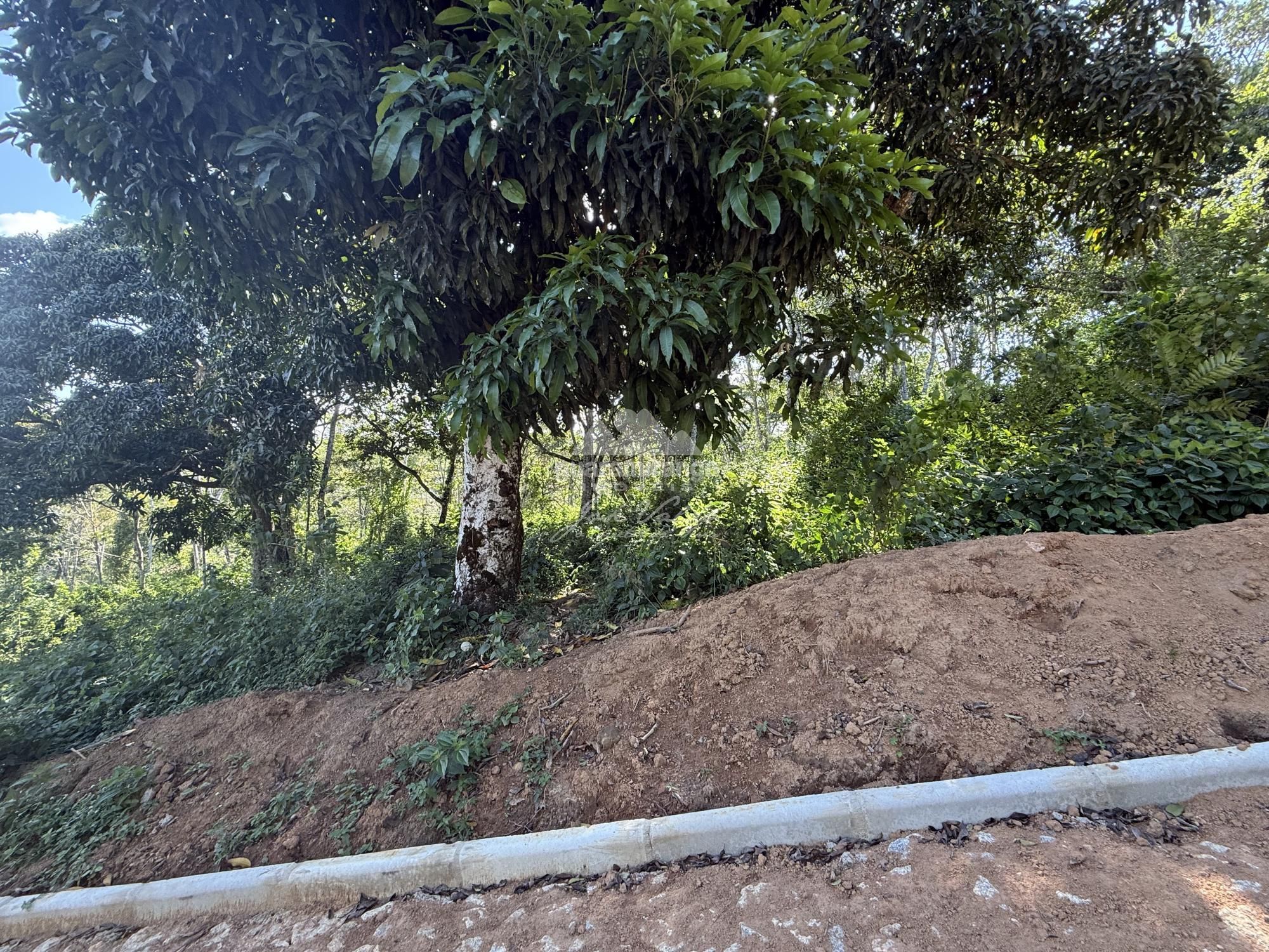 Terreno, 589 m² - Foto 18