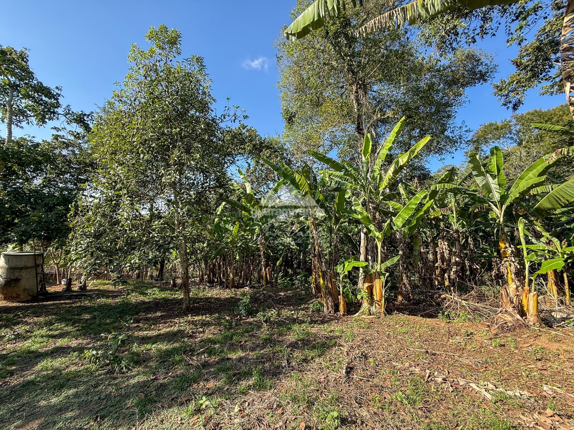 Chácara, 3 quartos, 5 hectares - Foto 16