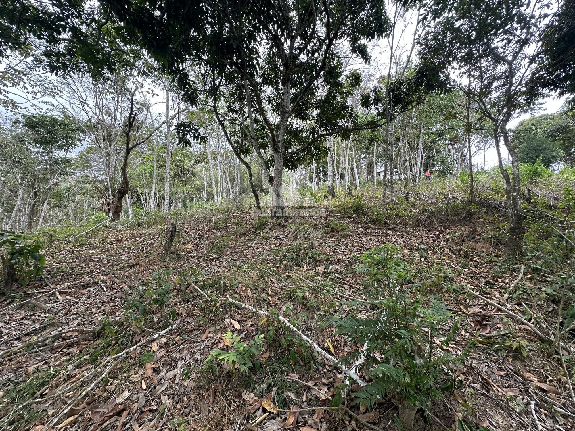 Terreno à venda, 589m² - Foto 11