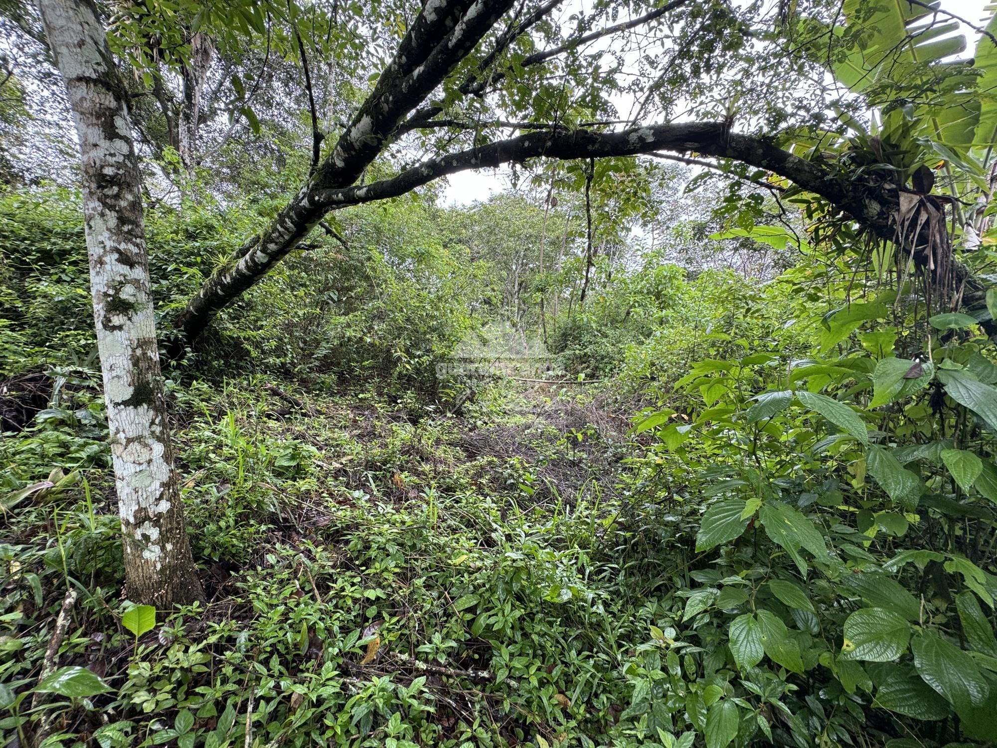 Terreno, 7675 m² - Foto 17