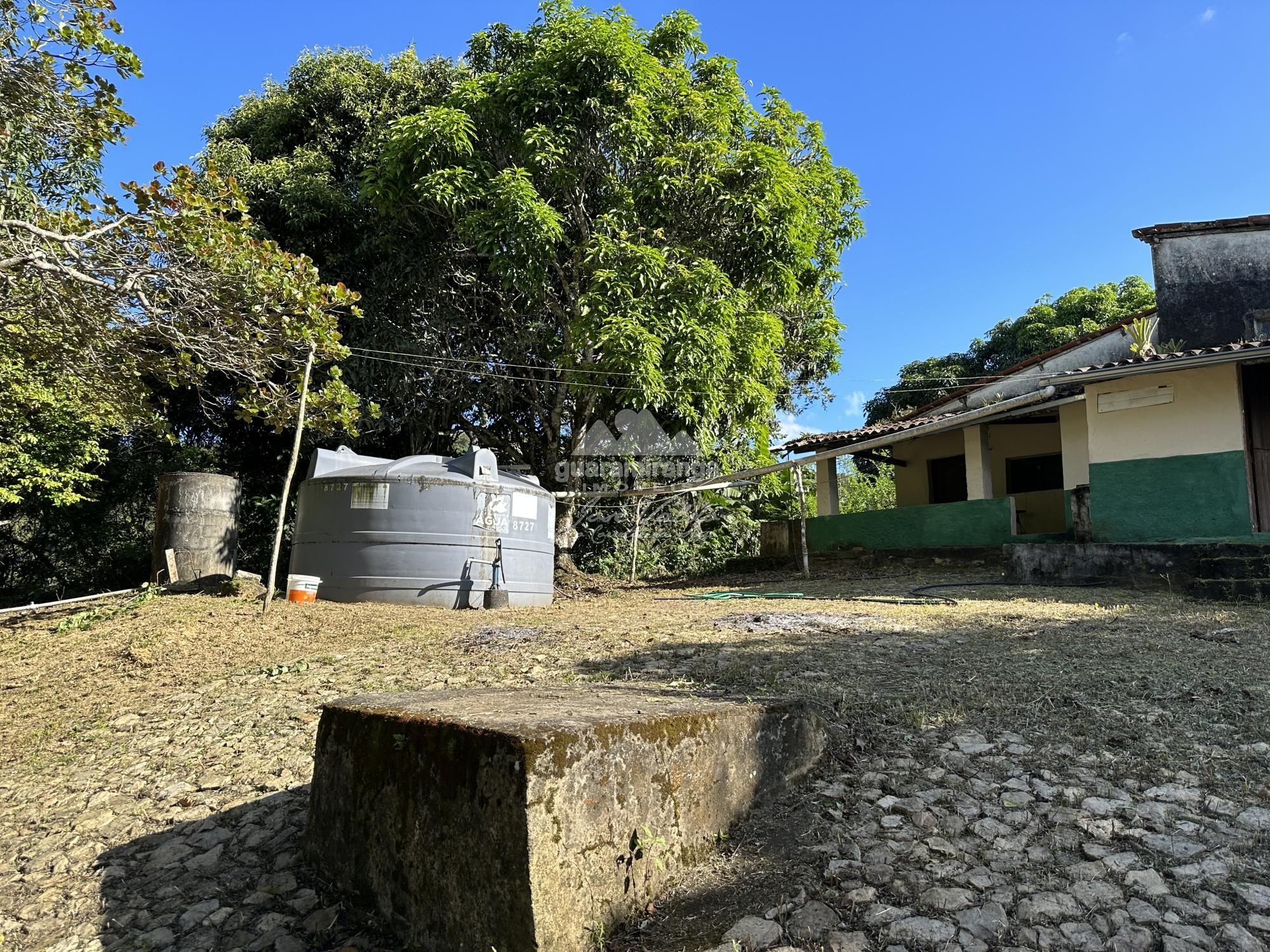 Sítio, 3 quartos, 3 hectares - Foto 15