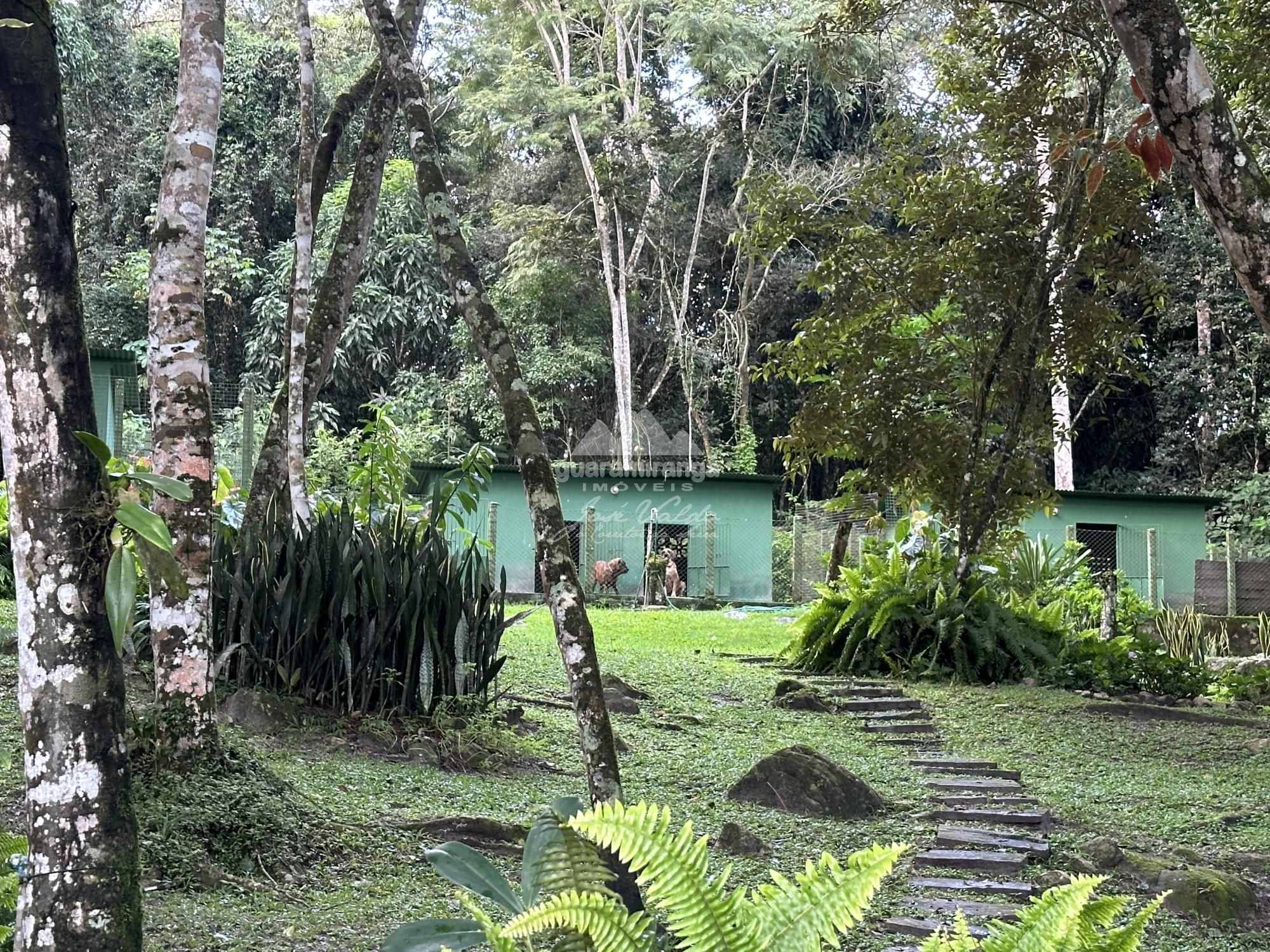 Sítio à venda com 6 quartos, 30000m² - Foto 67