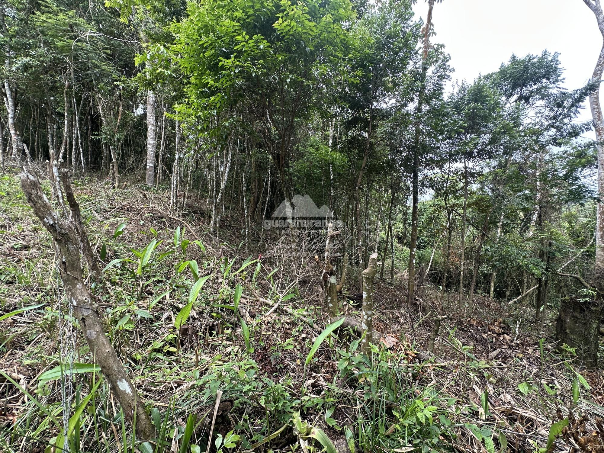 Terreno, 7595 m² - Foto 22