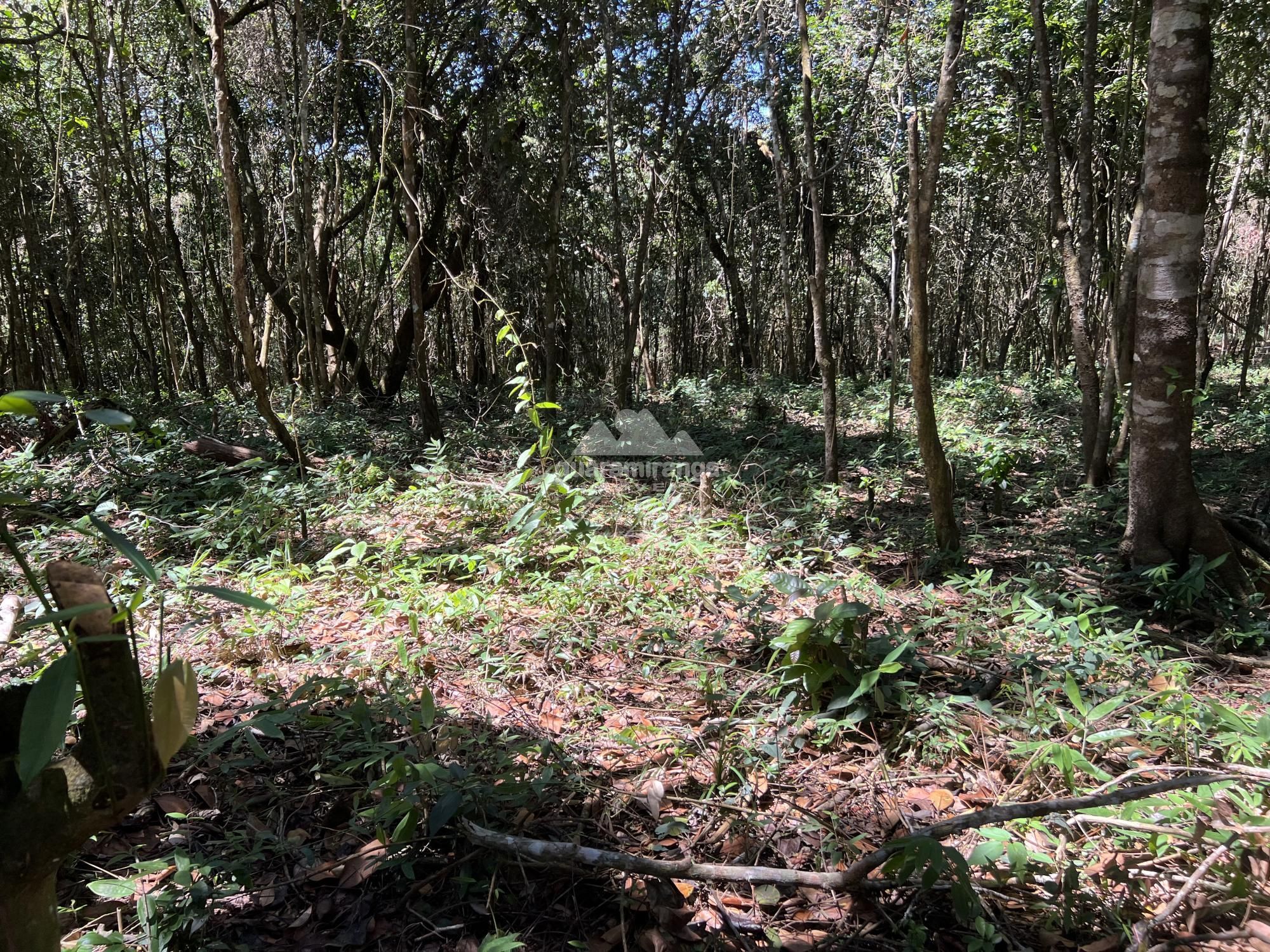 Terreno à venda, 1200m² - Foto 4