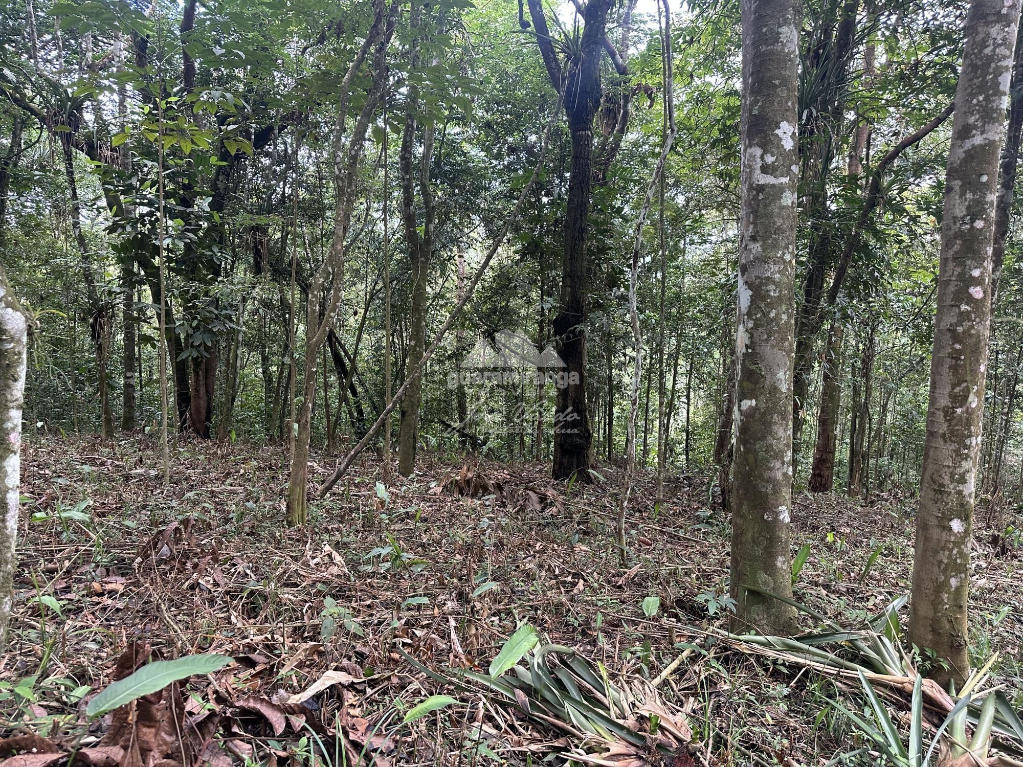 Terreno, 7595 m² - Foto 23