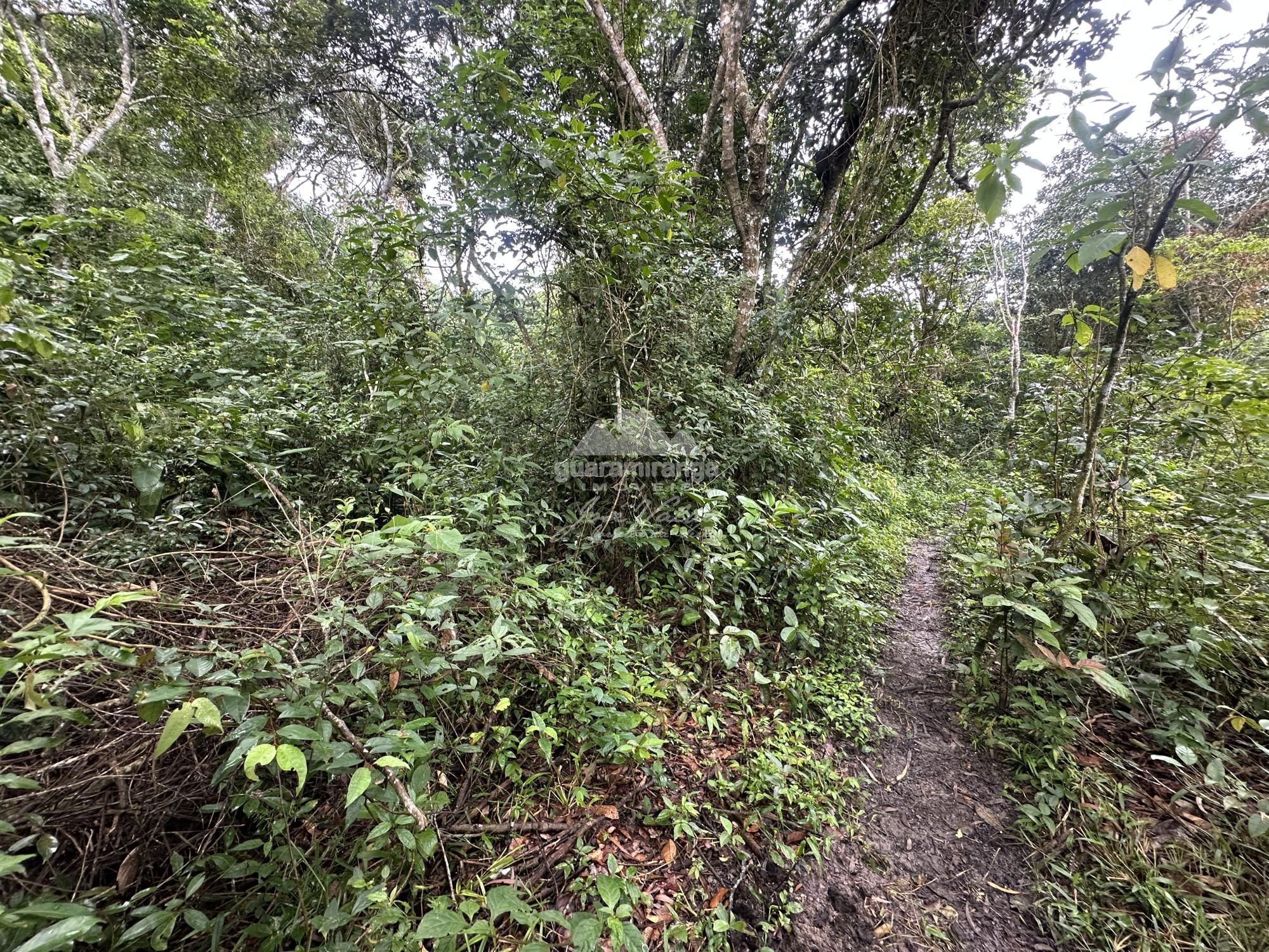 Terreno à venda, 136m² - Foto 12