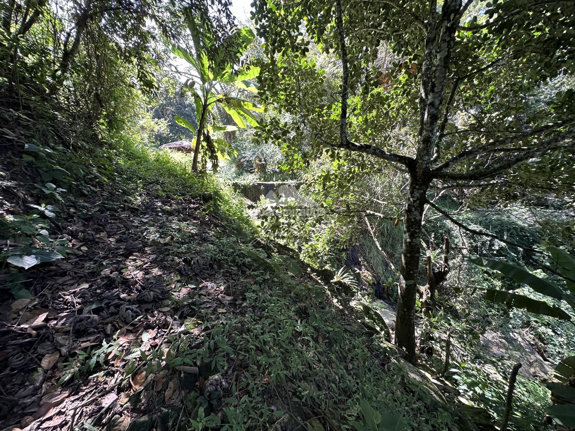 Sítio, 4 quartos, 22 hectares - Foto 50