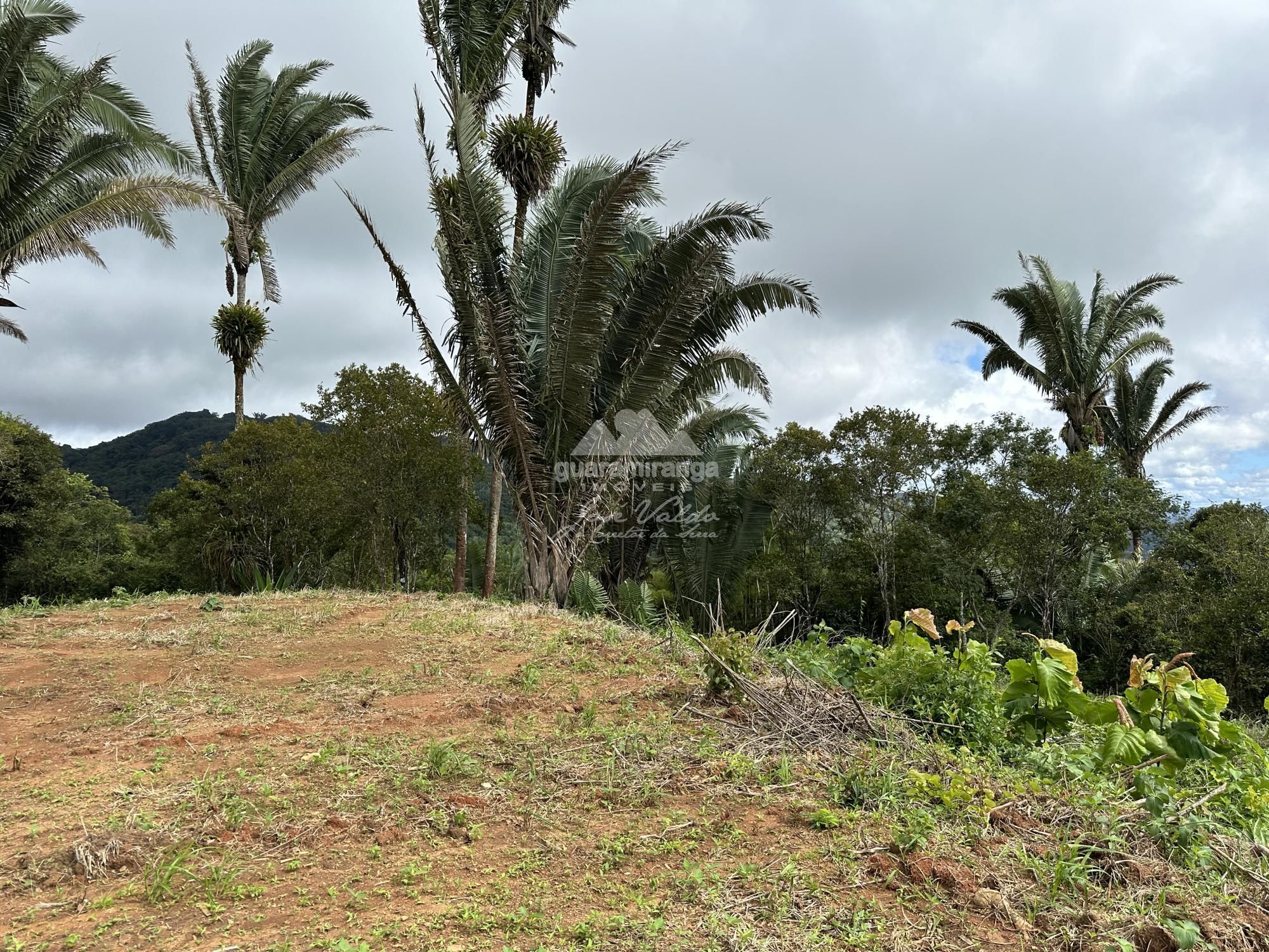 Sítio, 2 quartos, 20 hectares - Foto 18