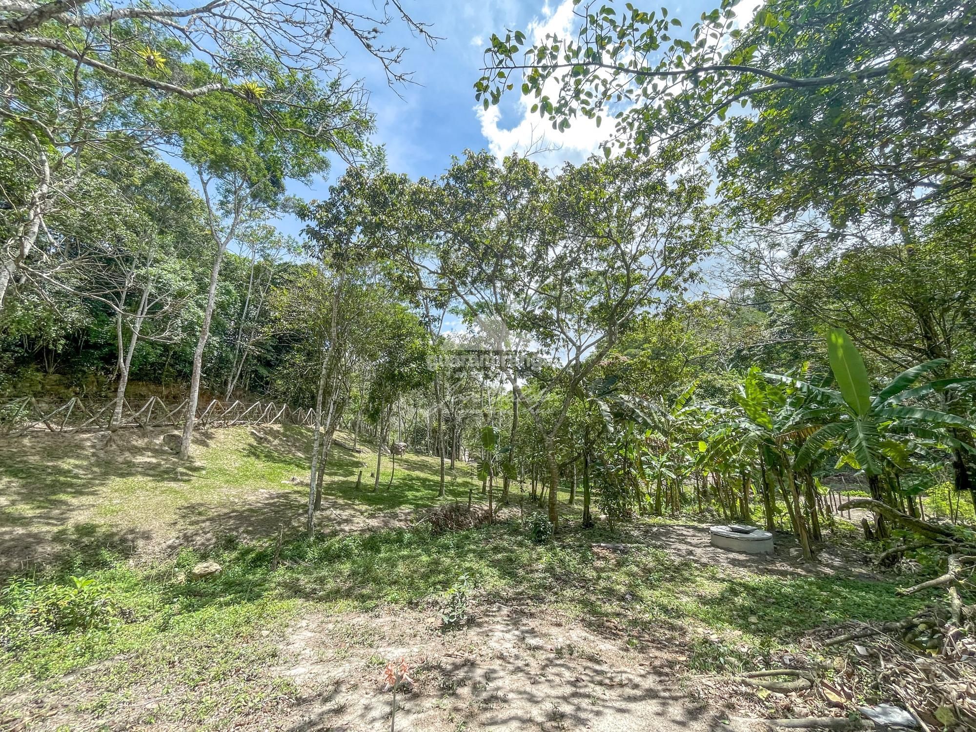 Sítio à venda com 1 quarto, 35000m² - Foto 23