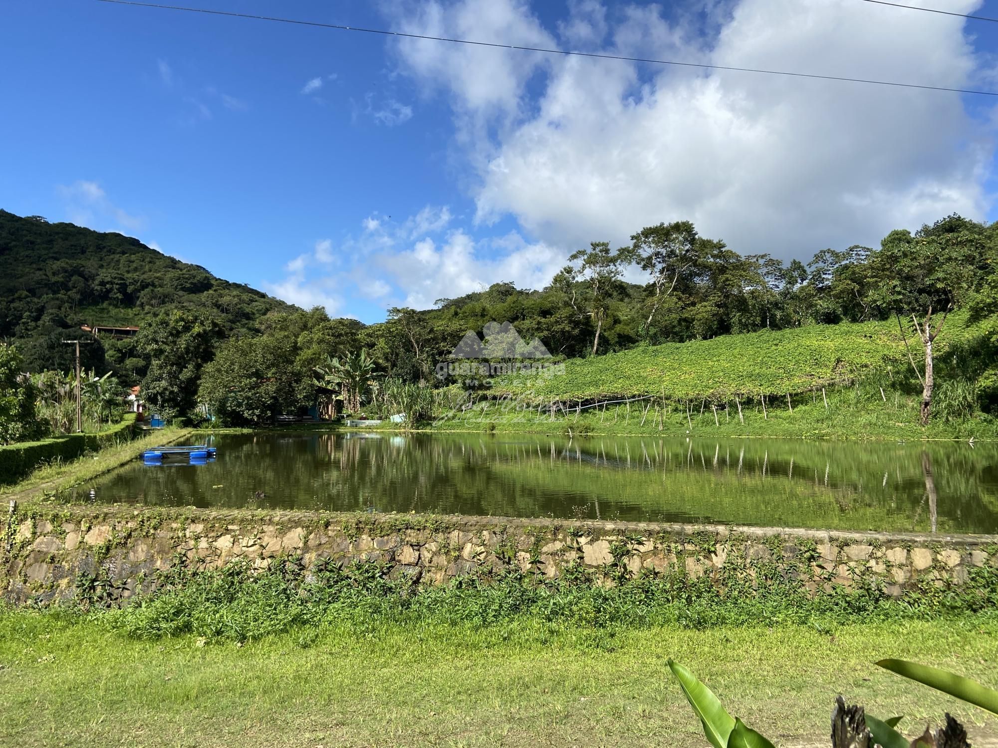 Sítio, 7 quartos, 31 hectares - Foto 54