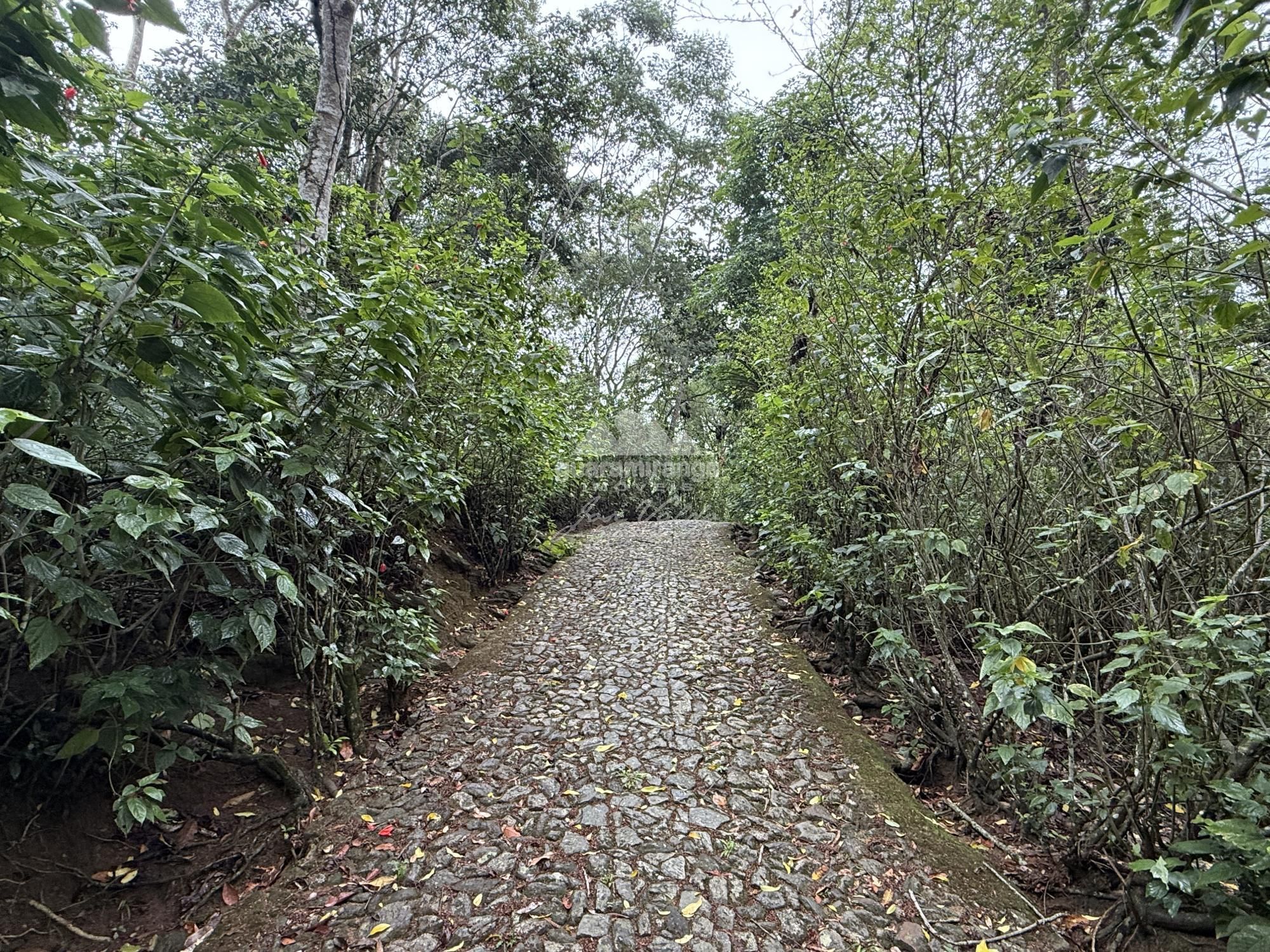 Chácara, 5 quartos, 7200 m² - Foto 3