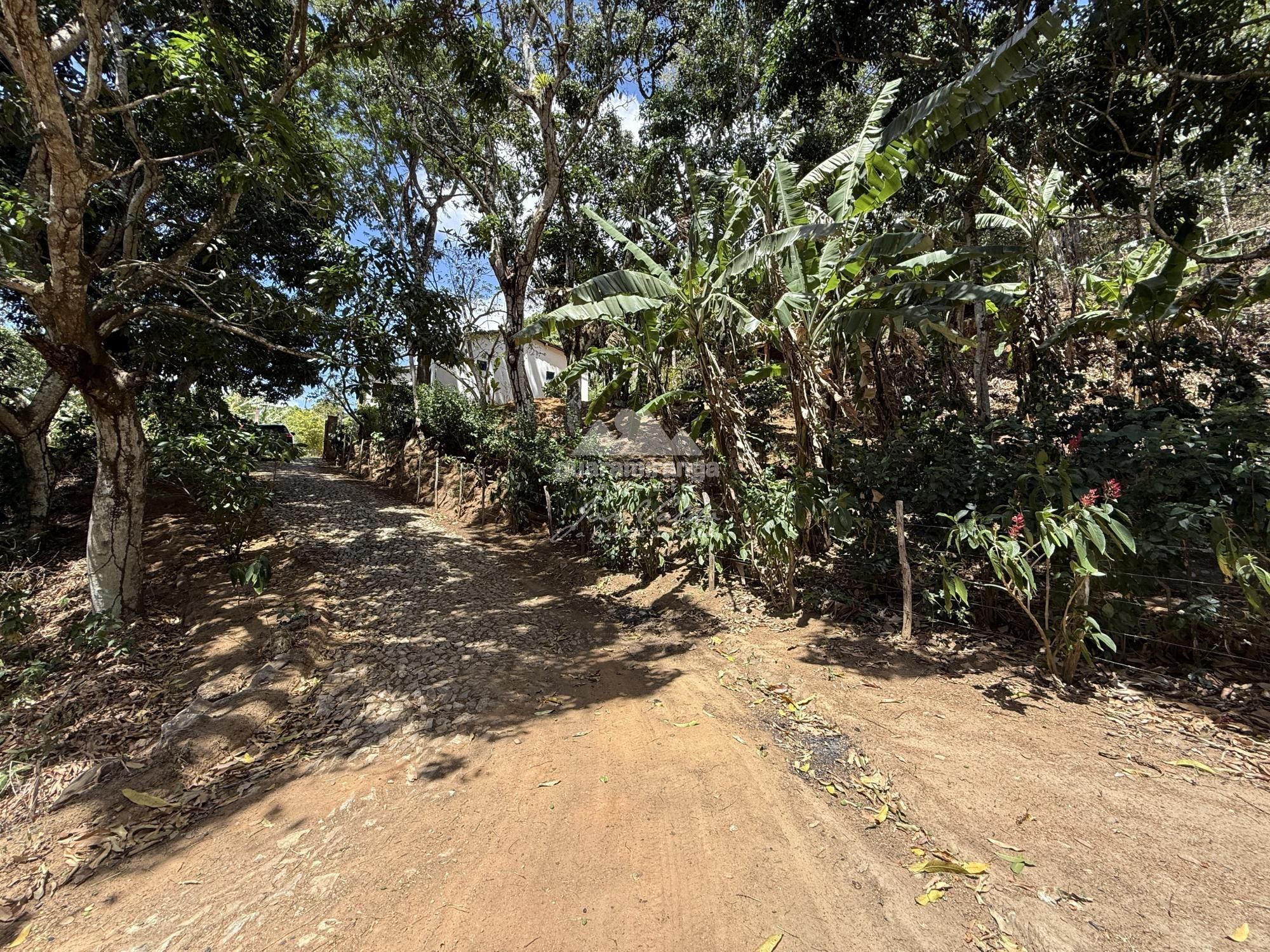 Sítio, 4 quartos, 180 m² - Foto 60