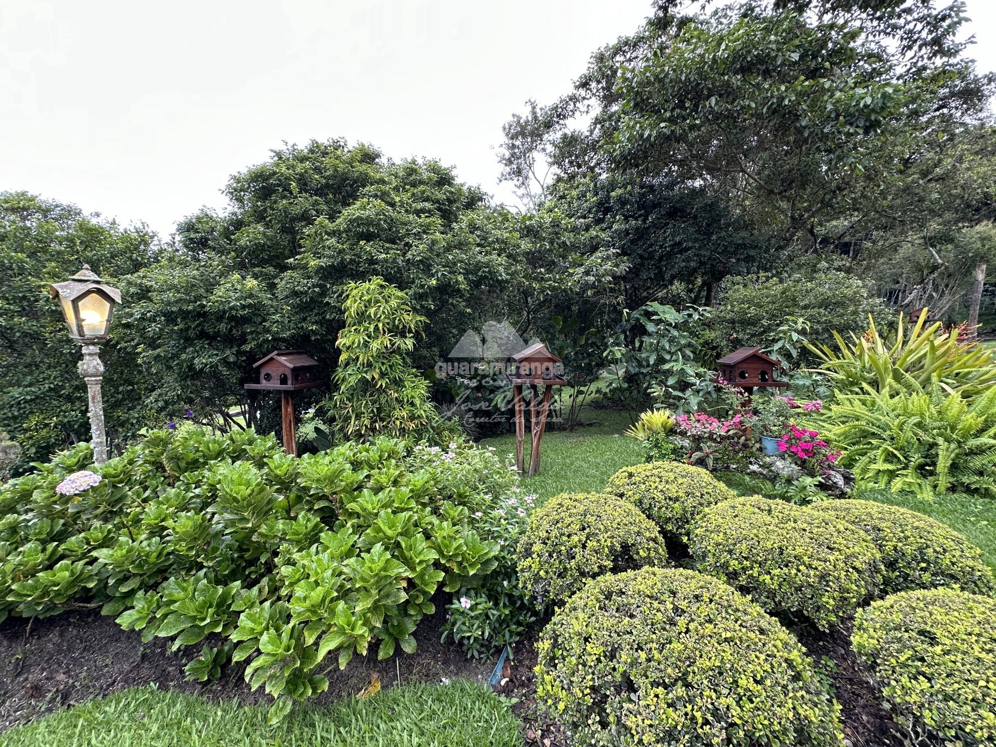 Sítio à venda com 6 quartos, 30000m² - Foto 69