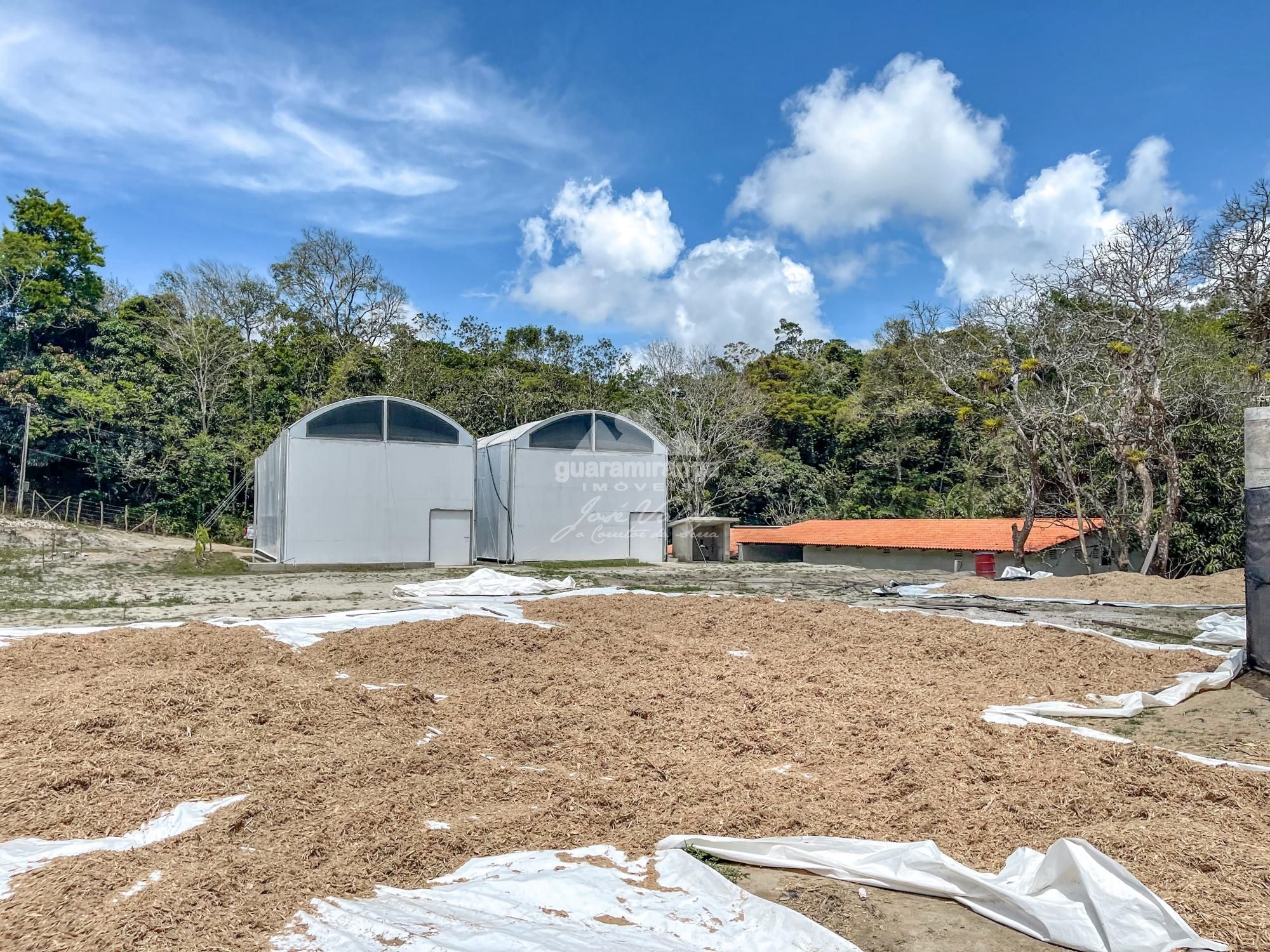 Sítio à venda com 1 quarto, 35000m² - Foto 38