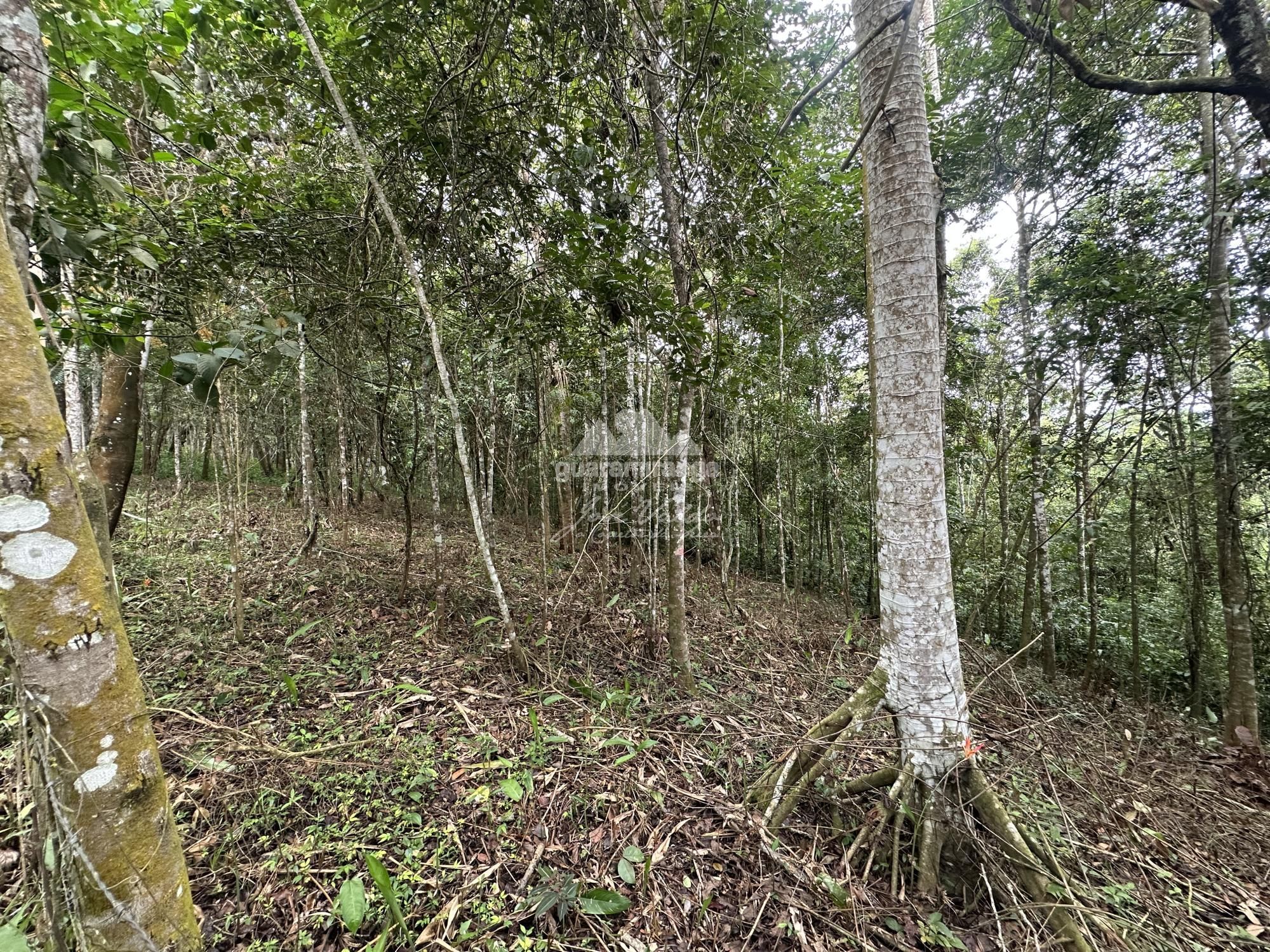 Terreno, 7595 m² - Foto 25