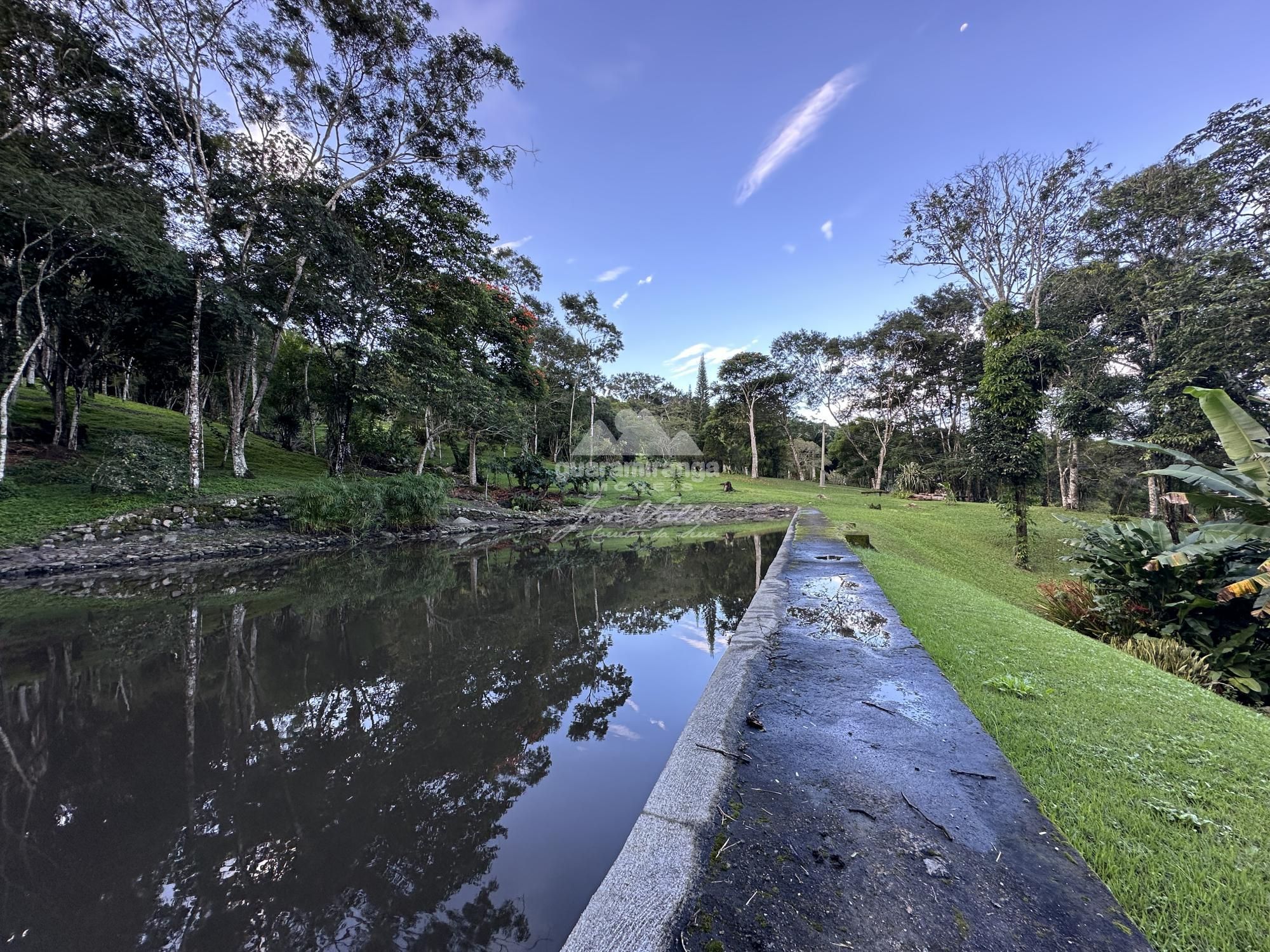 Sítio à venda com 6 quartos, 30000m² - Foto 93