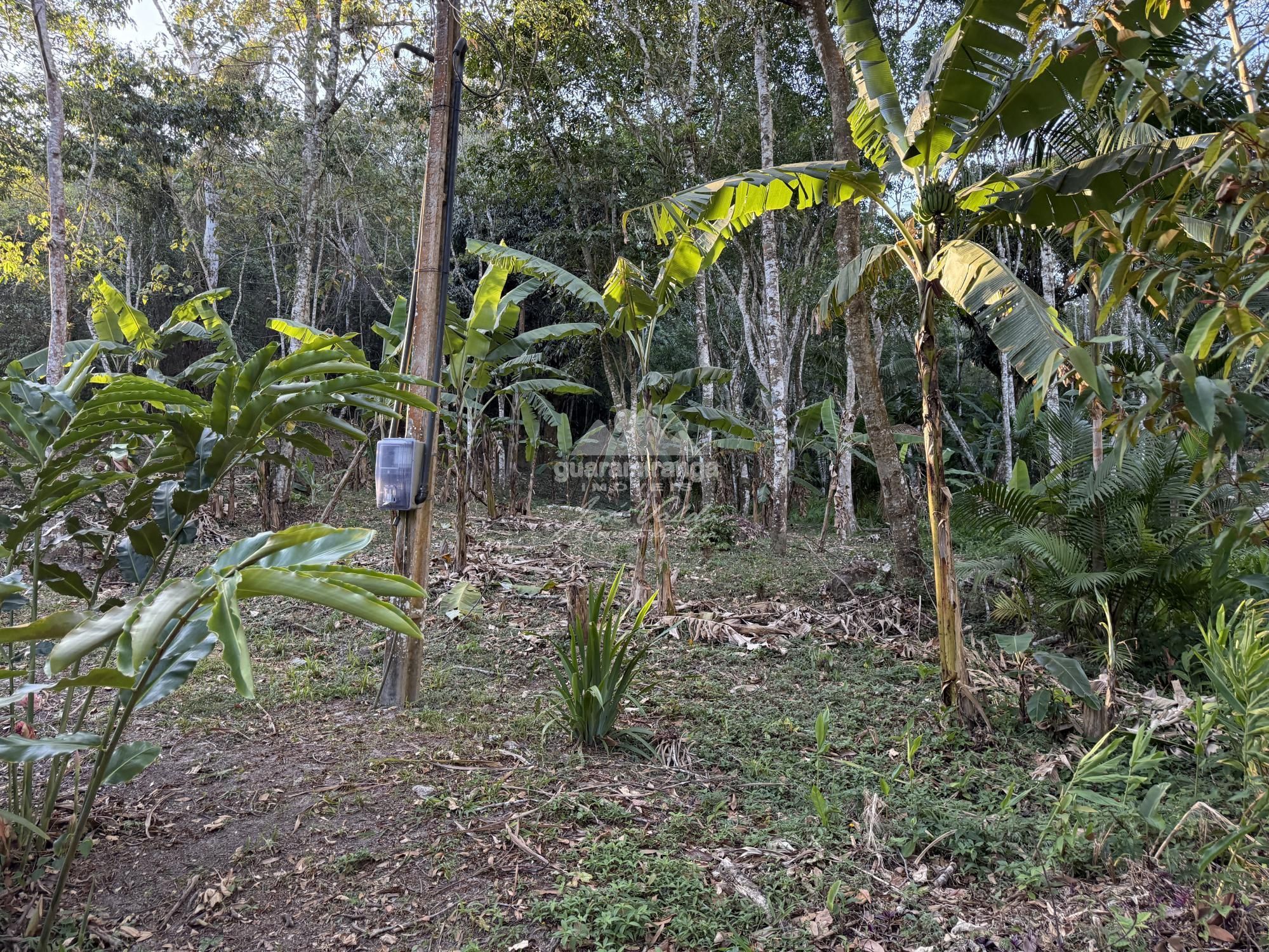Chácara, 8 quartos, 2 hectares - Foto 44