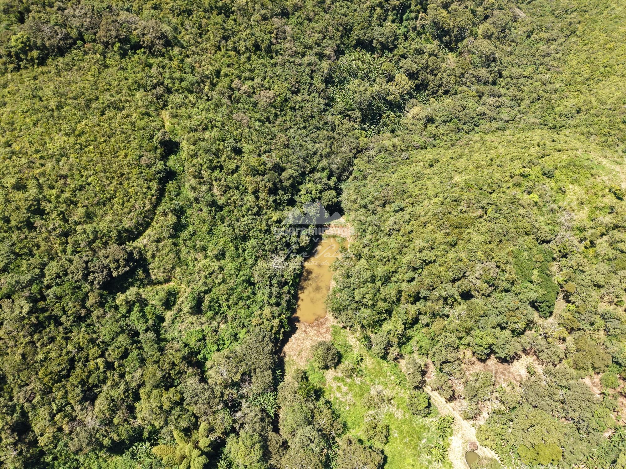 Sítio, 3 quartos, 18 hectares - Foto 15