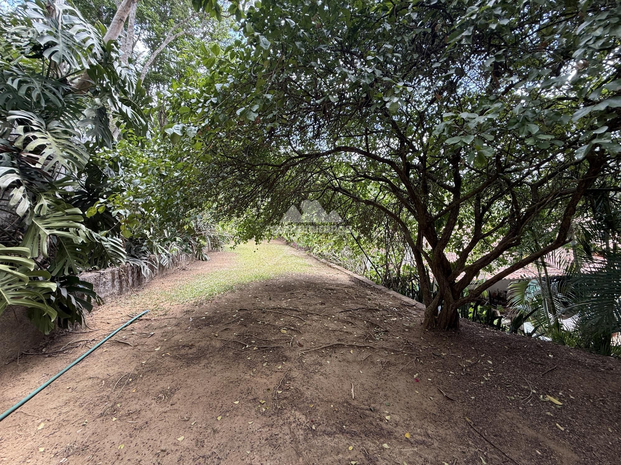 Sítio, 4 quartos, 180 m² - Foto 53