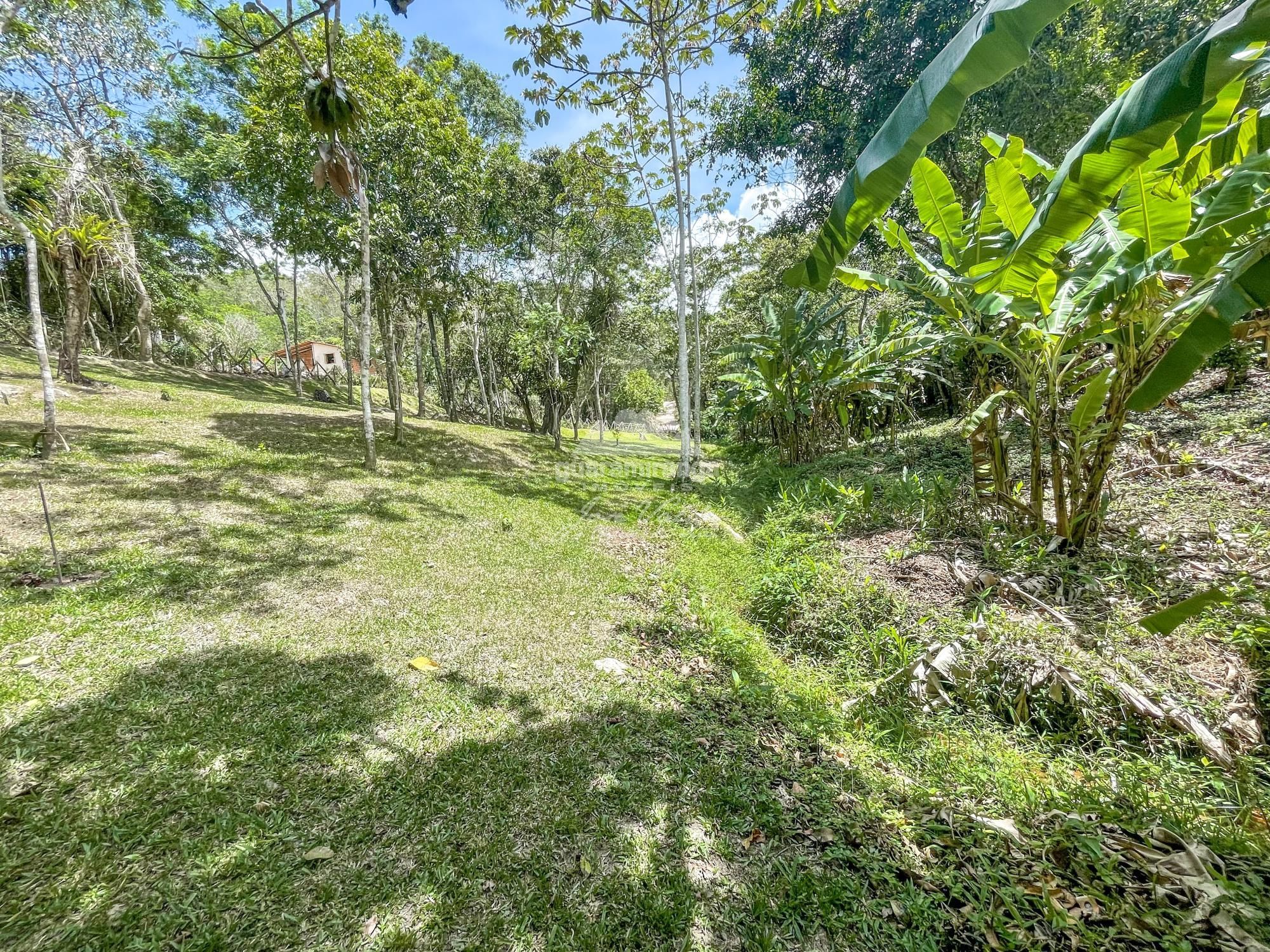 Sítio à venda com 1 quarto, 35000m² - Foto 29