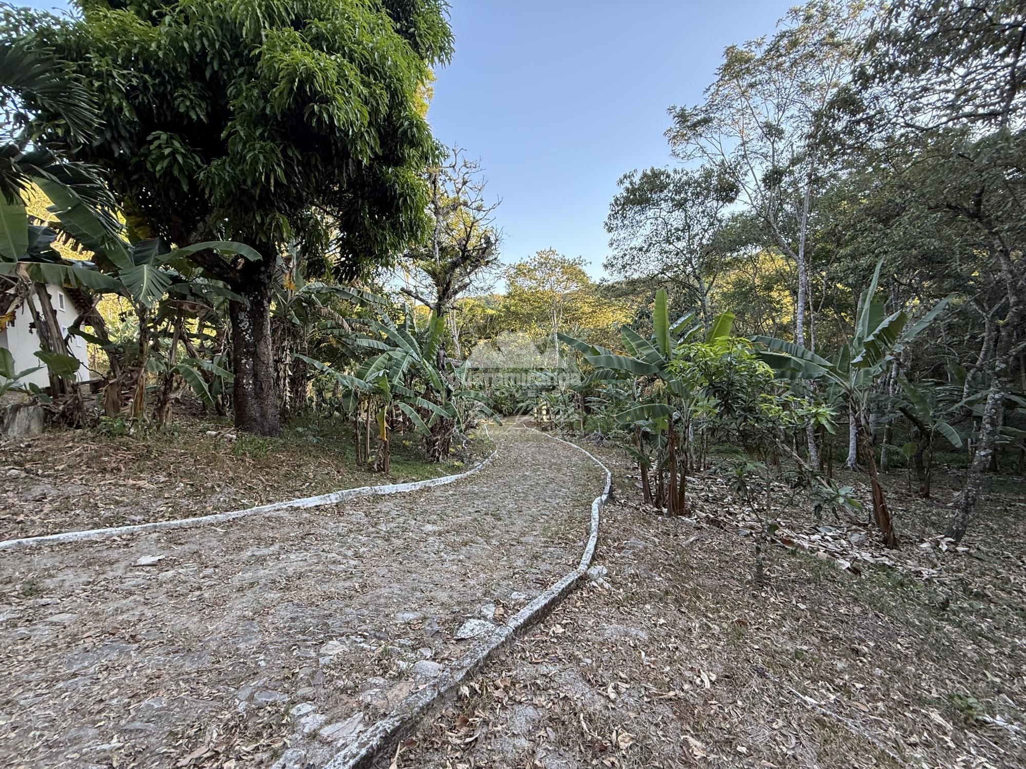 Chácara, 8 quartos, 2 hectares - Foto 50