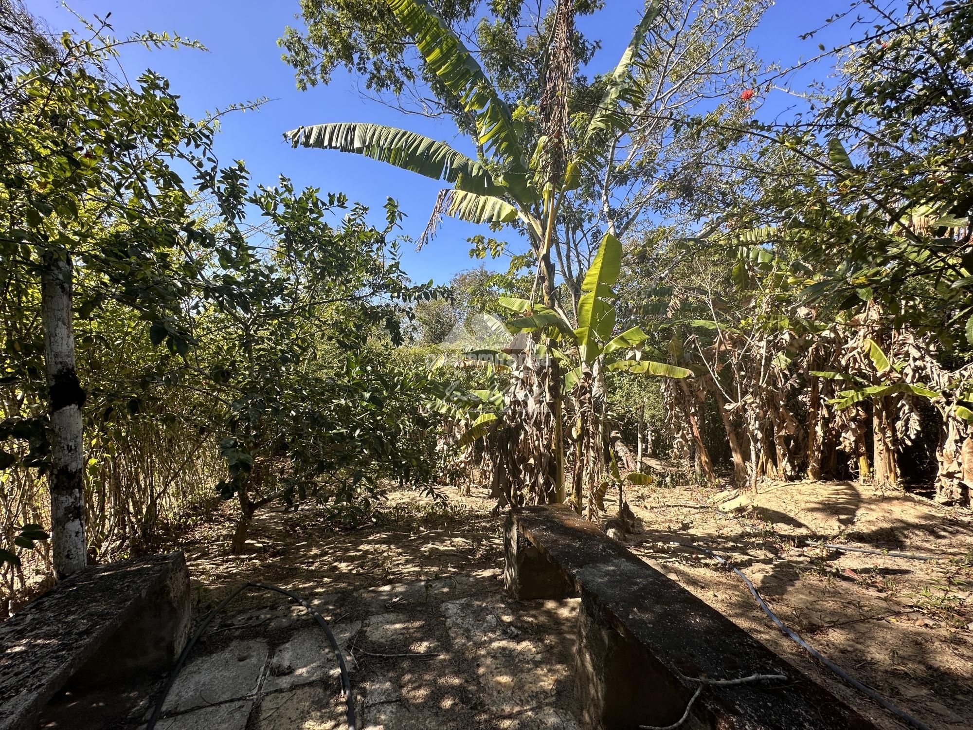 Casa, 3 quartos - Foto 26