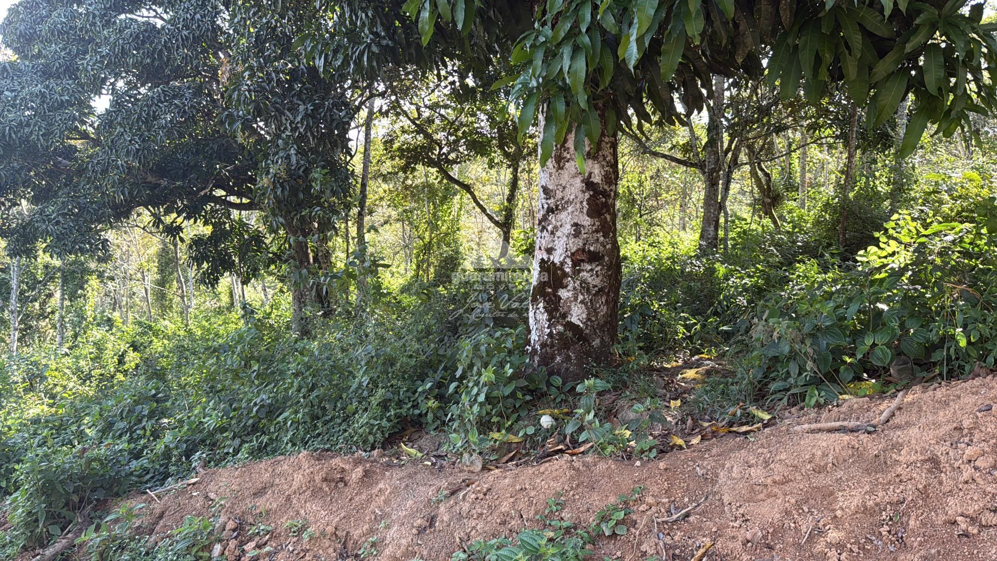 Terreno, 589 m² - Foto 13