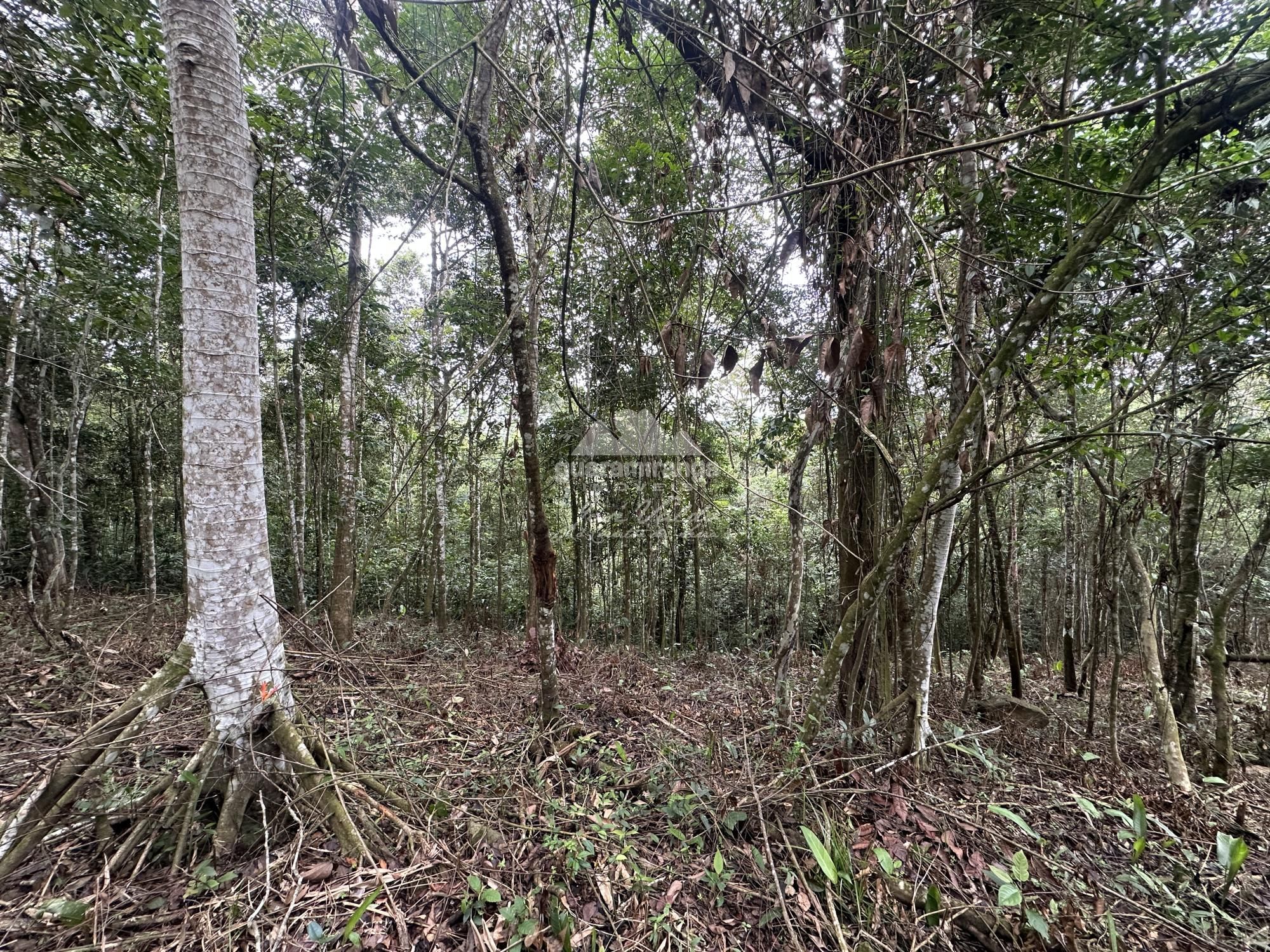 Terreno, 7595 m² - Foto 26