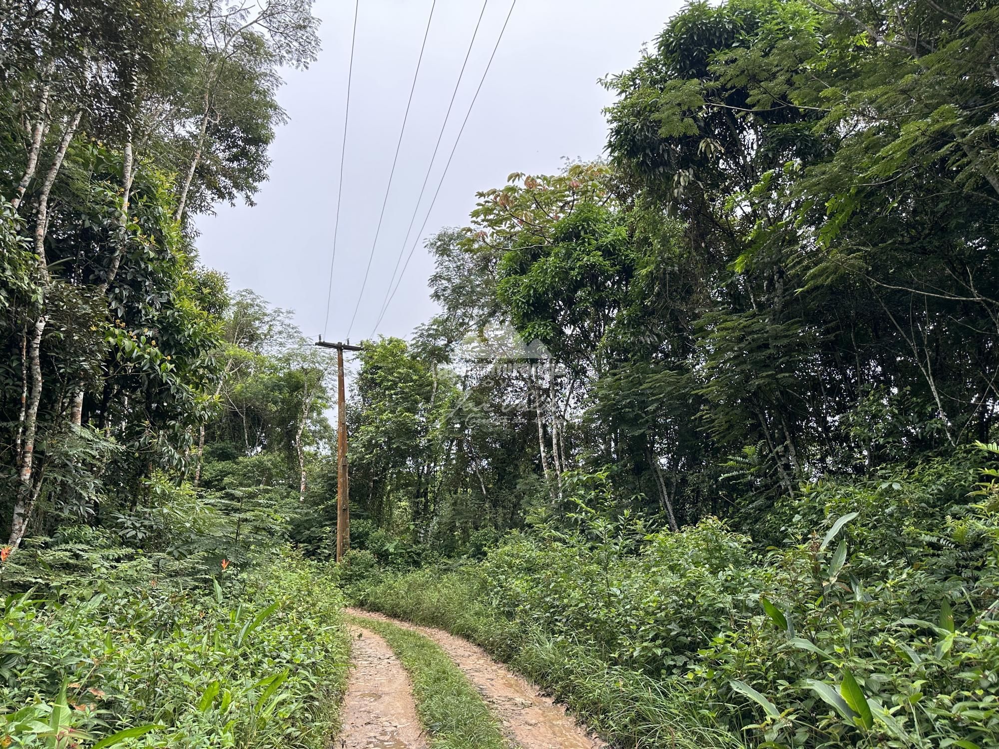 Terreno, 7595 m² - Foto 14