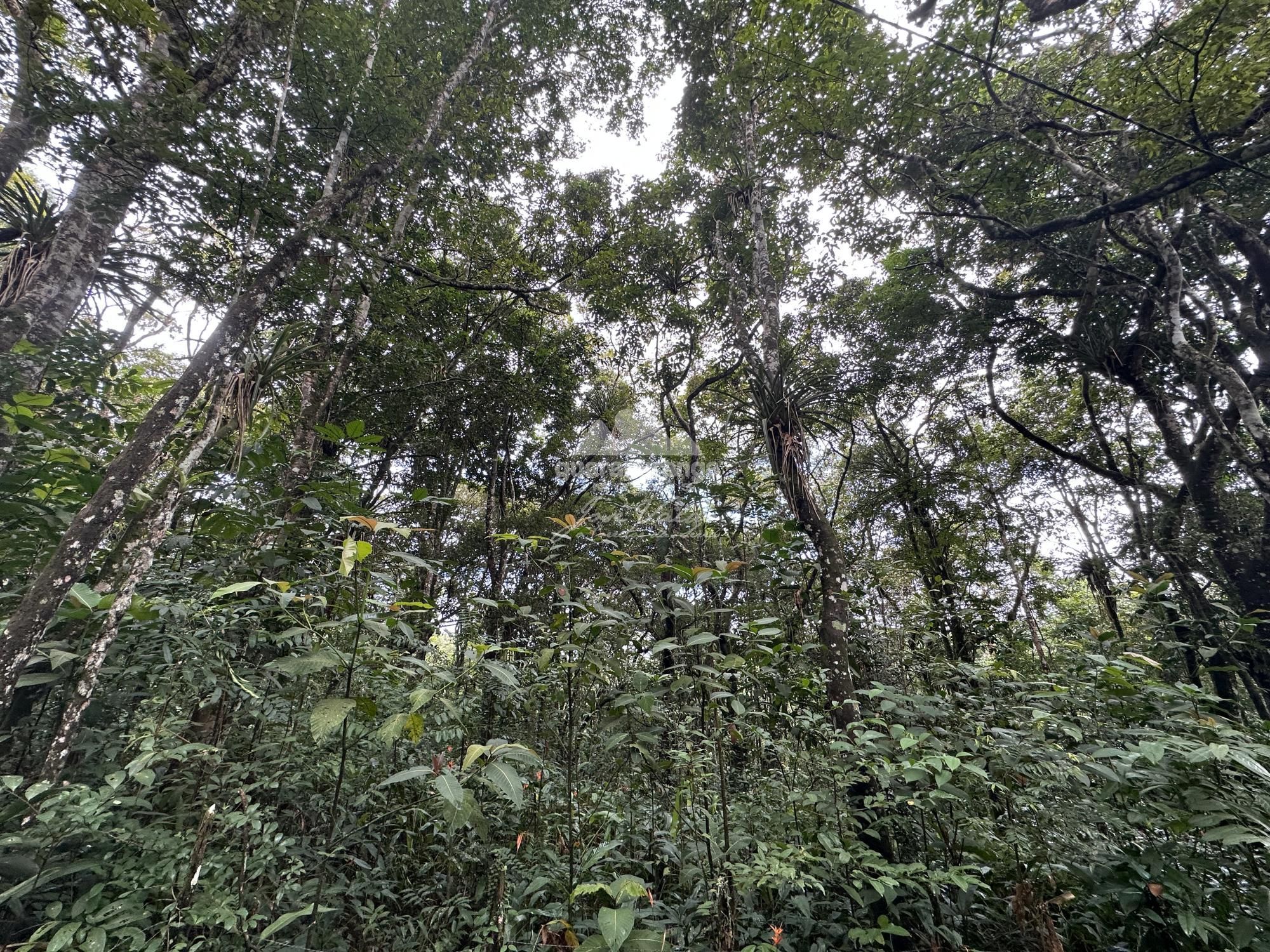 Terreno, 7595 m² - Foto 16