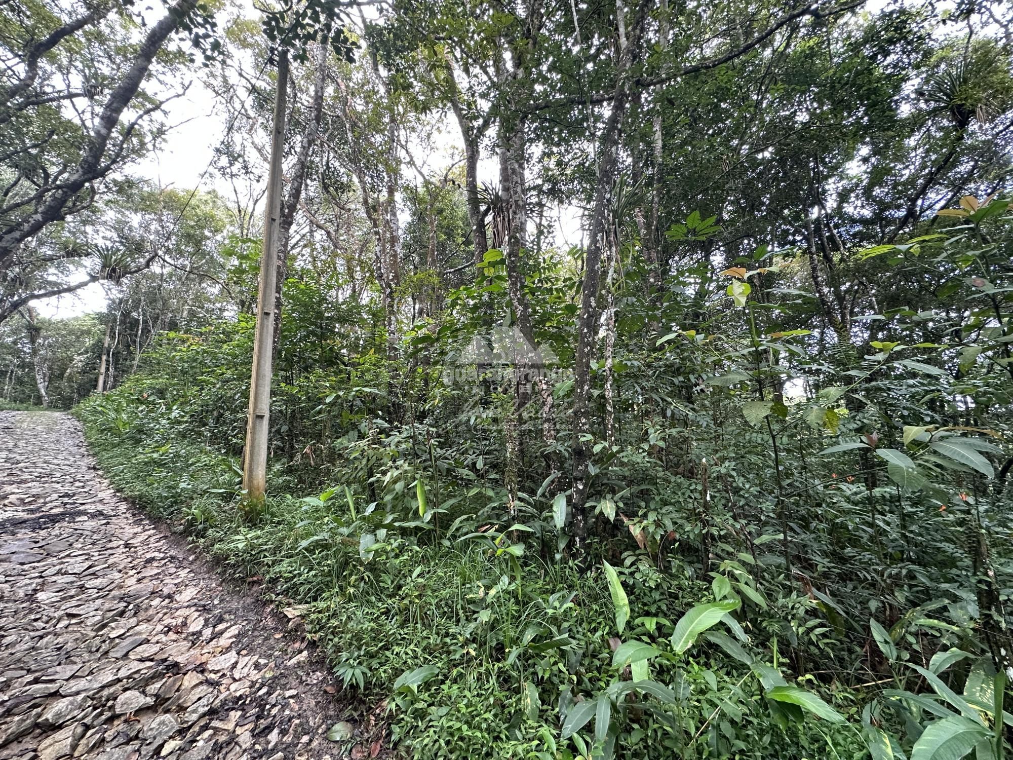 Terreno, 7595 m² - Foto 18