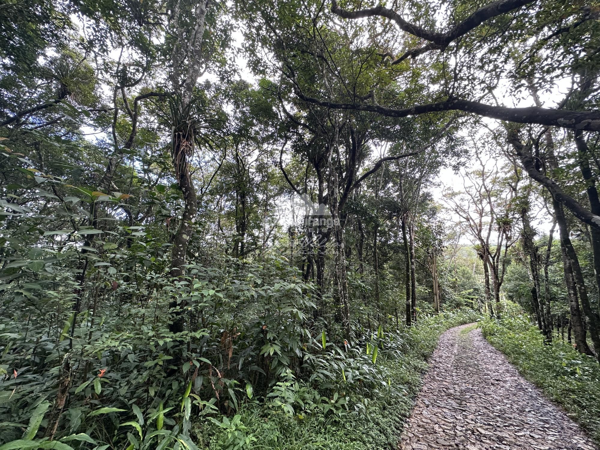 Terreno, 7595 m² - Foto 17