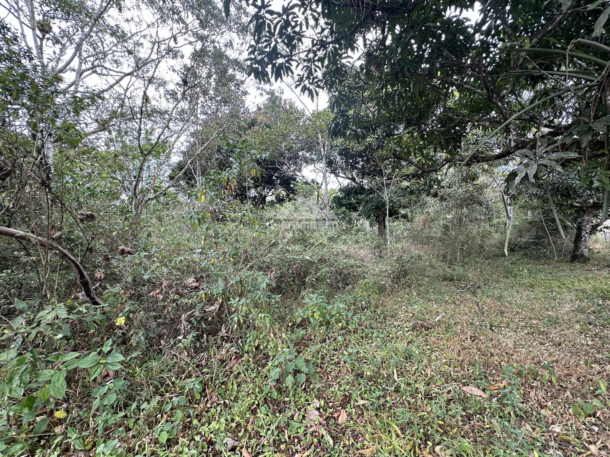 Terreno/Lote à venda  no Zona Rural - Guaramiranga, CE. Imóveis