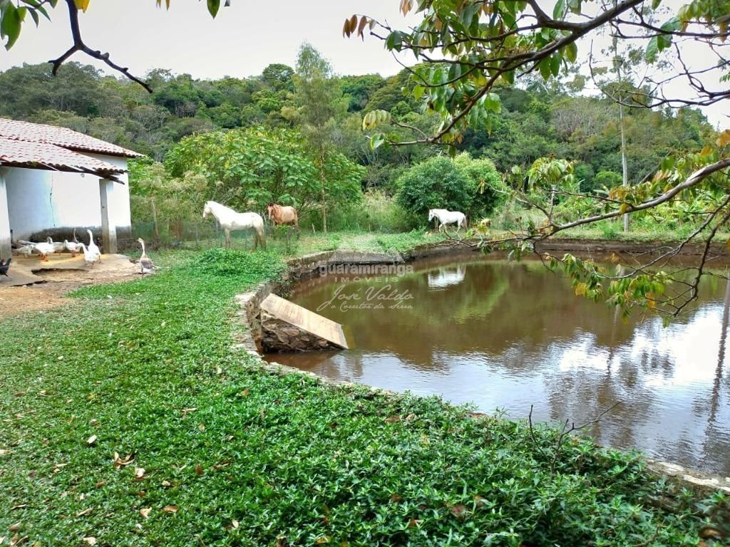 Sítio, 5 quartos, 3 hectares - Foto 11