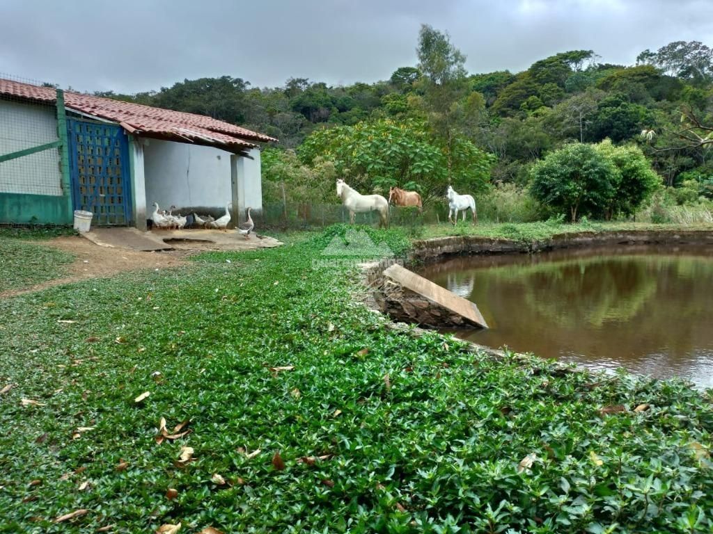 Sítio, 5 quartos, 3 hectares - Foto 21