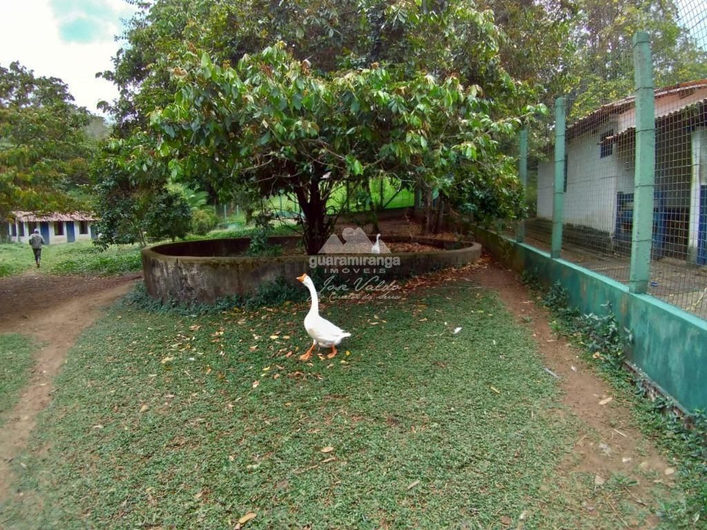 Sítio, 5 quartos, 3 hectares - Foto 15